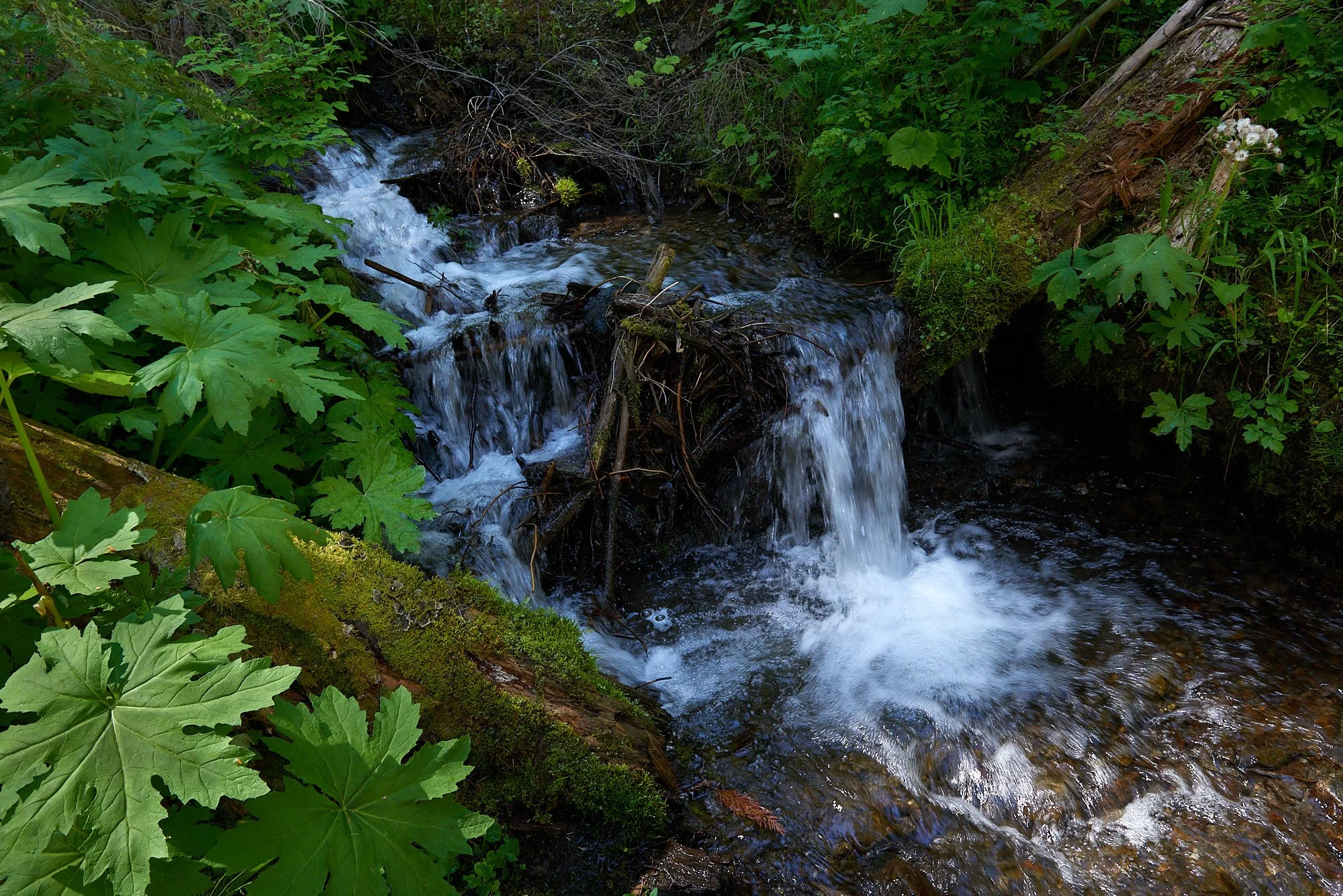 Waterfall1 H.jpg