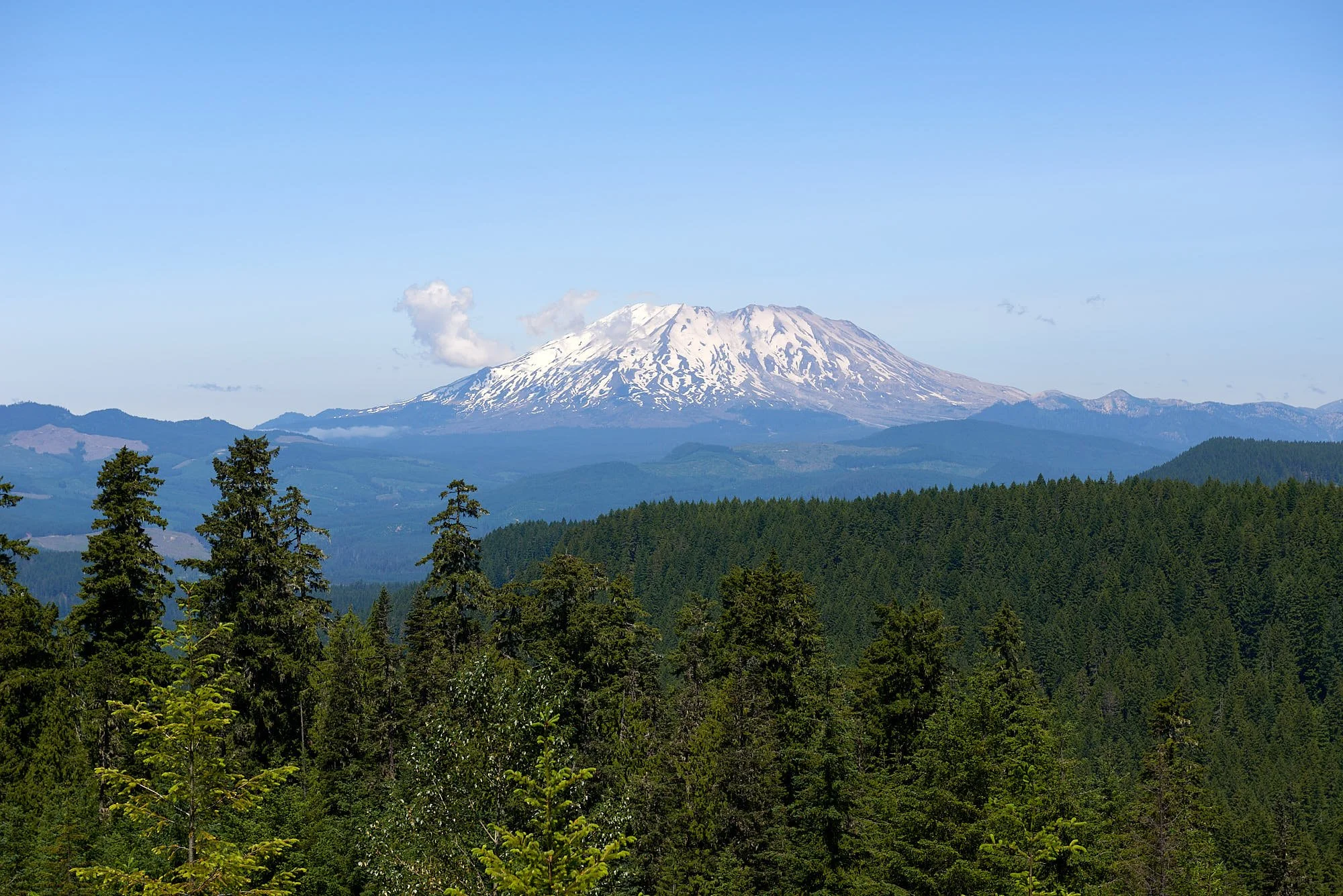 Helens H.jpg