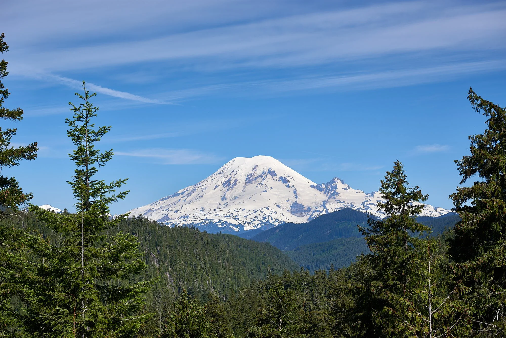 Ranier H.jpg