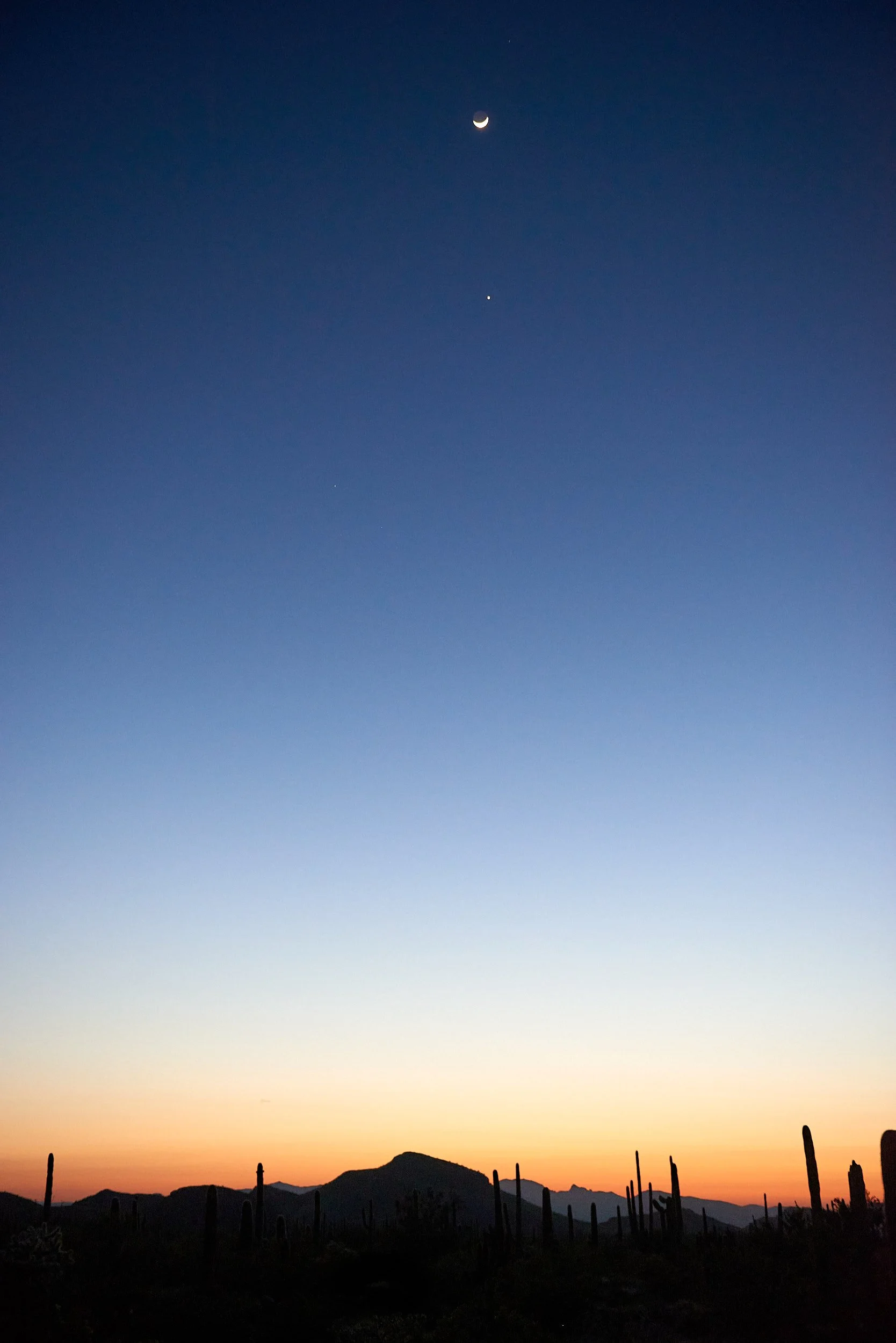 DSC2565 (OP BLUE).jpg