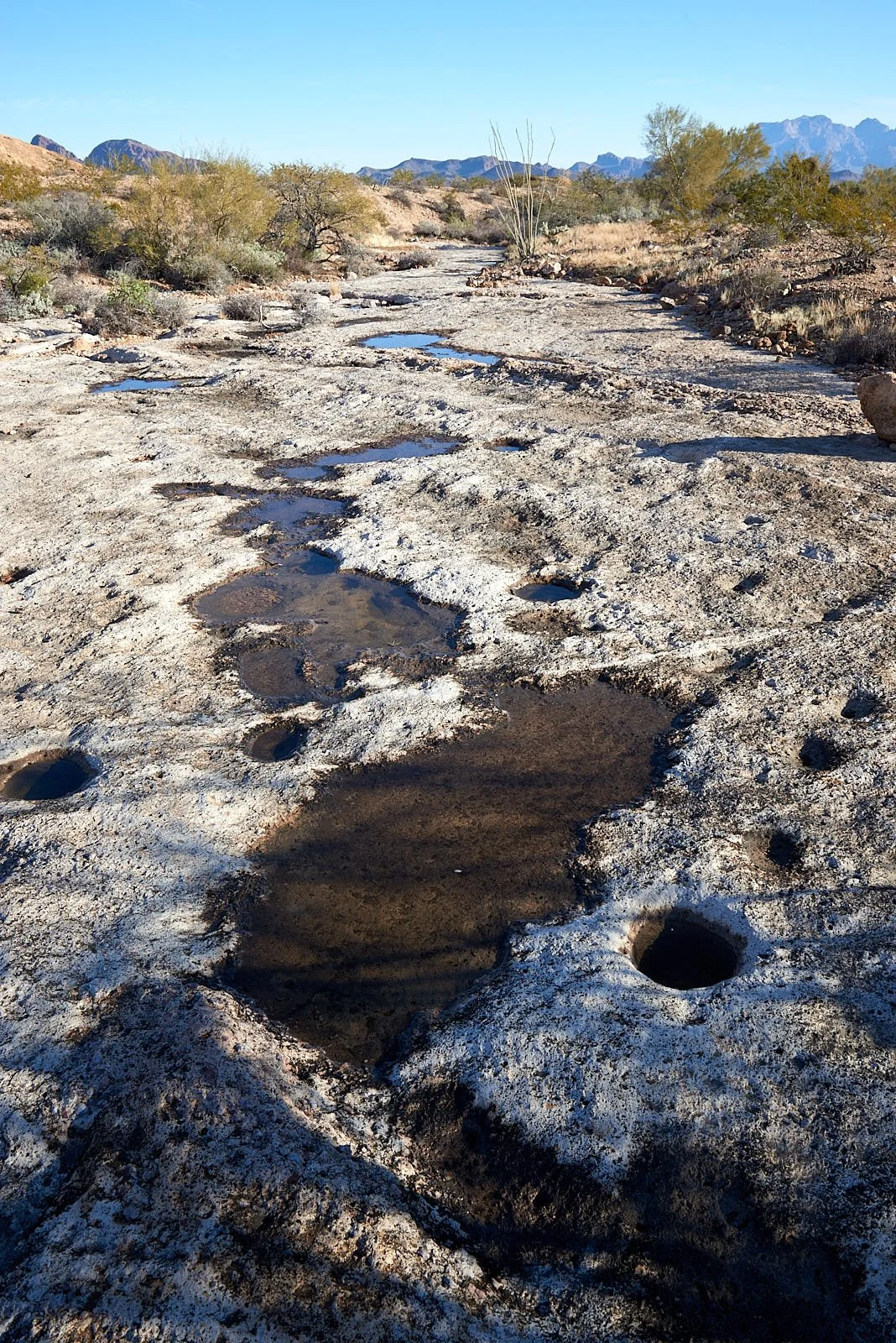 0275 KOFA HOLES.jpg