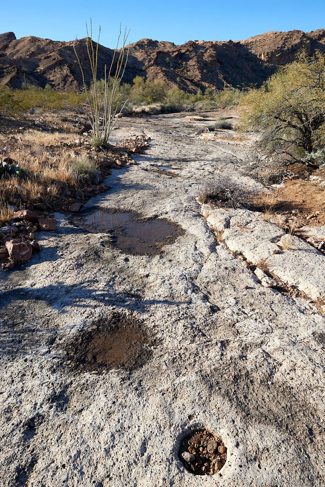 0276 KOFA HOLES.jpg