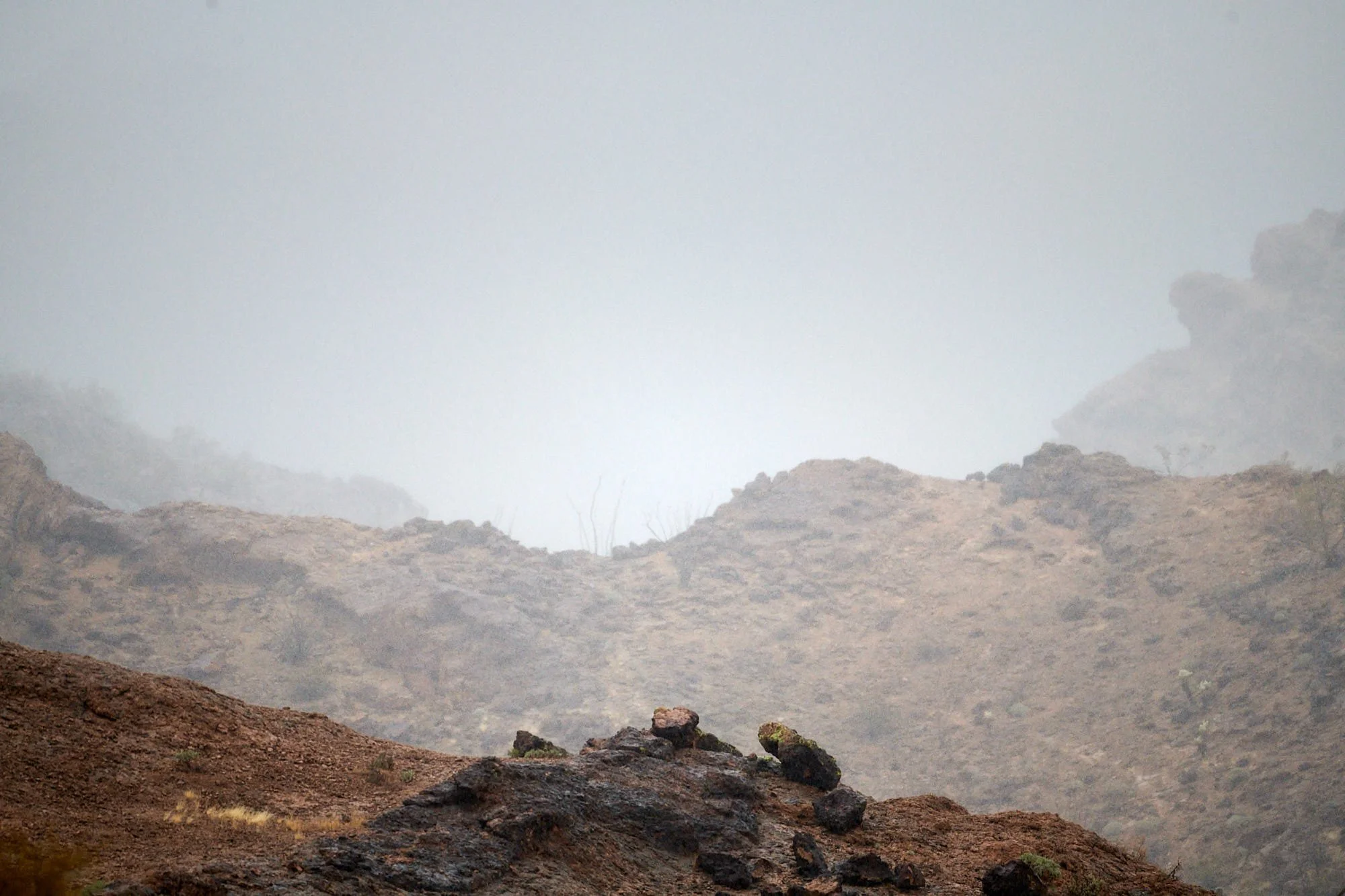 DSC5449 (OP RED, rain H).jpg