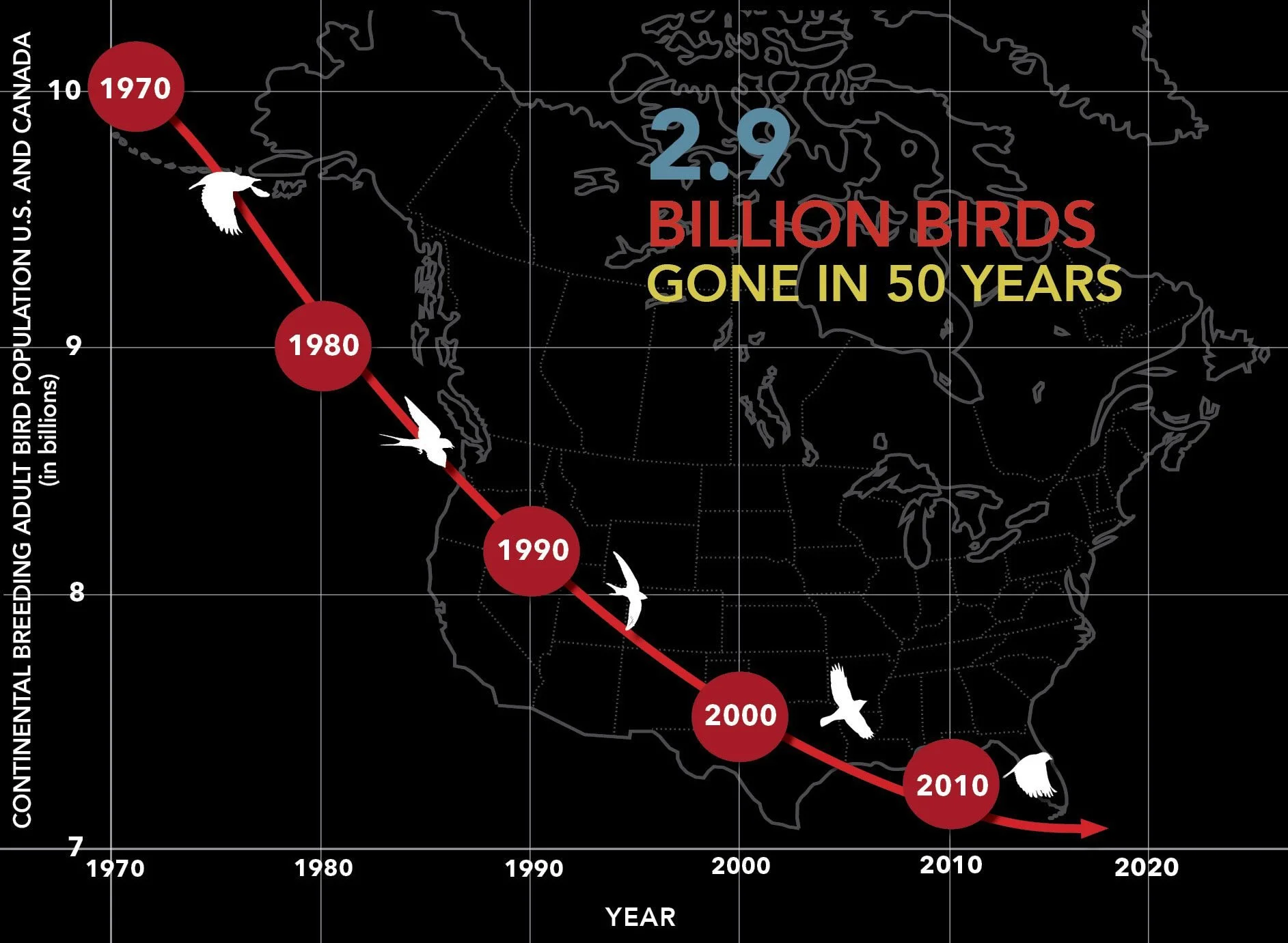 2.9BillionBirdsB2-9-23B.jpg