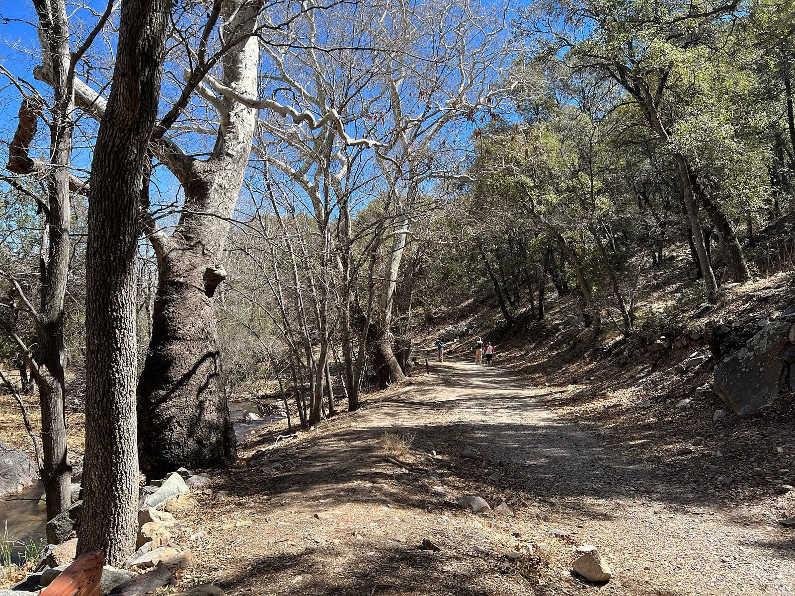 canyon trail 8009.jpg
