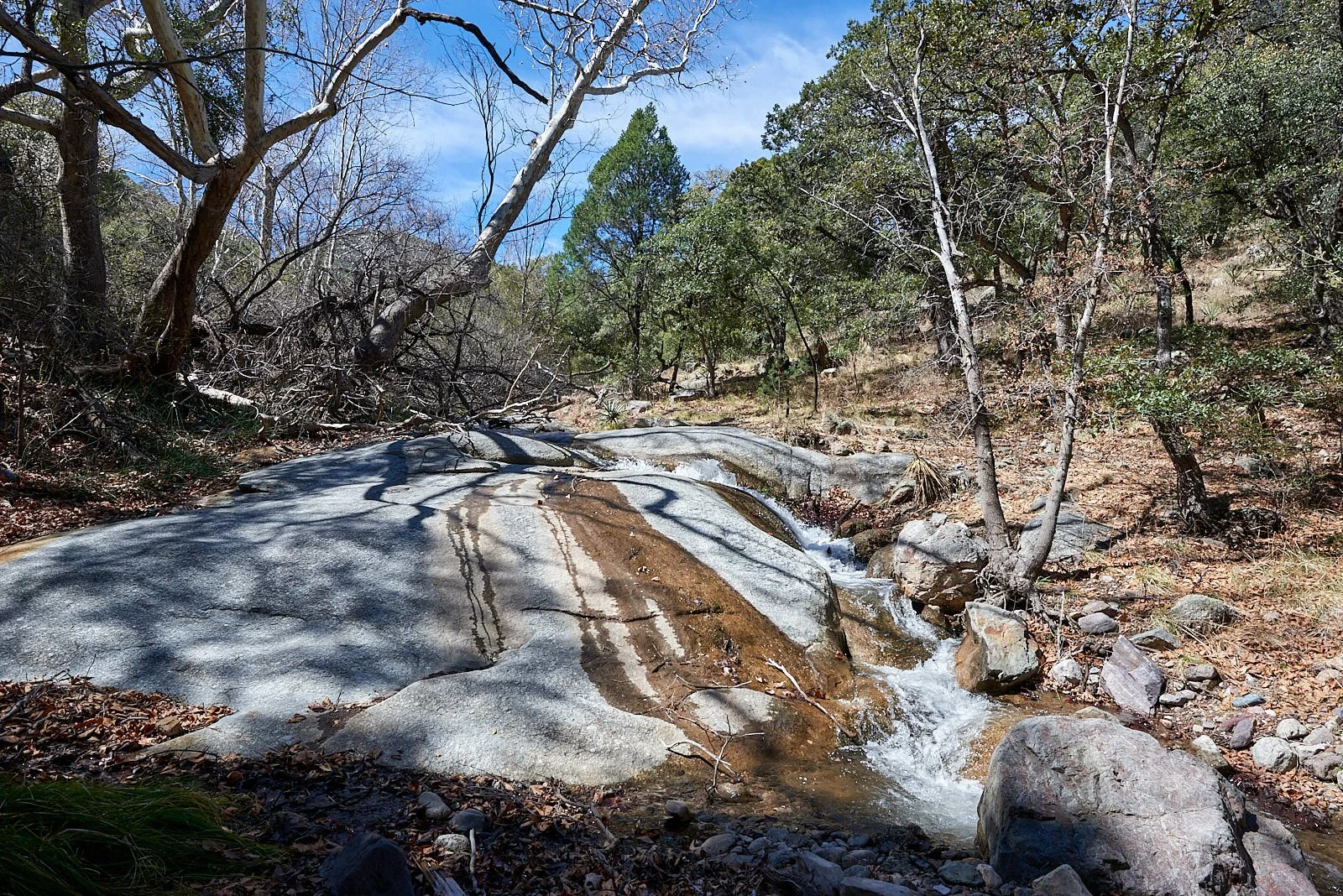 ramsey stream 0614.jpg