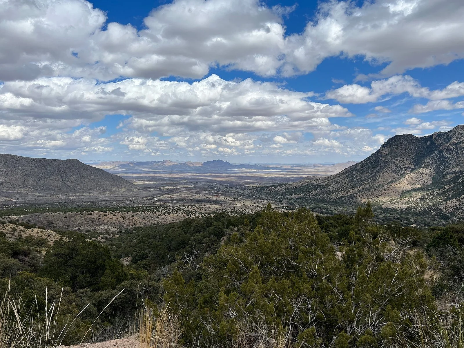 Portal-from west 8215.jpg