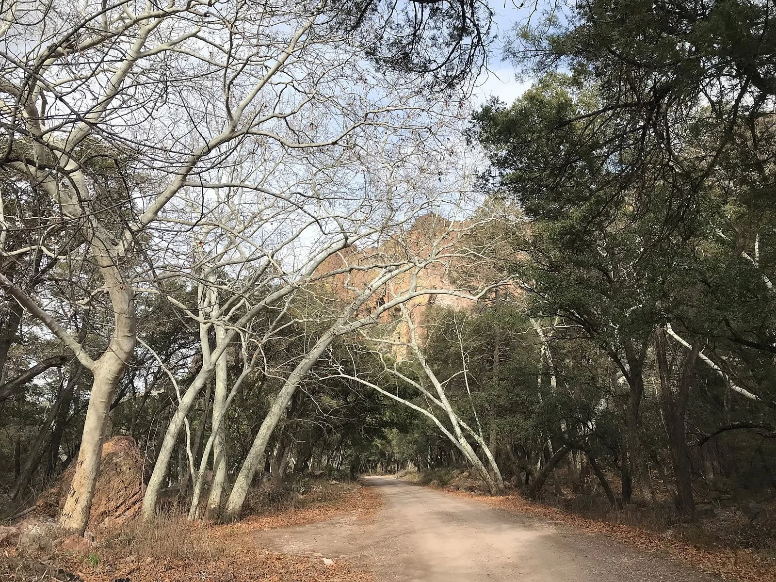 s. fork trail 1727.jpg