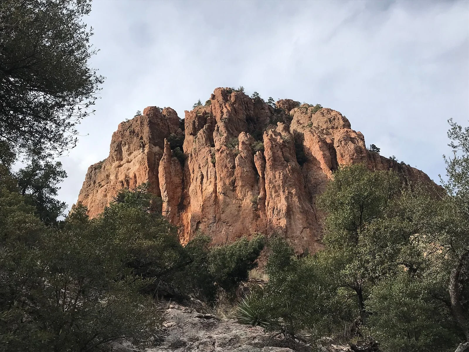 canyon cliff 1728.jpg