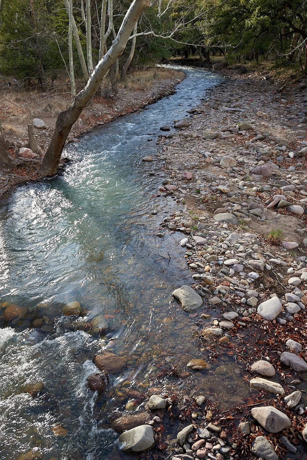 creek 0748.jpg