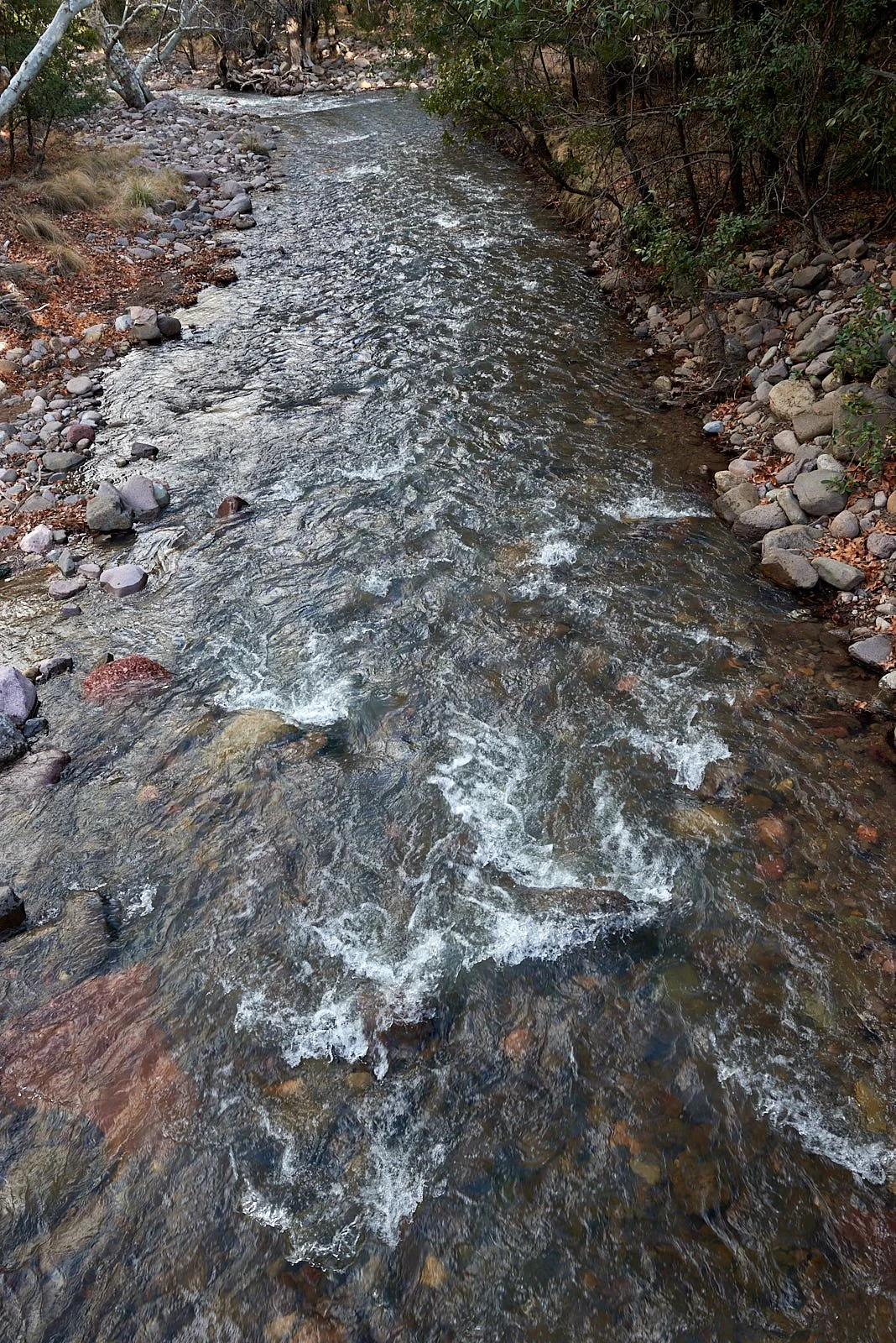 creek 0750.jpg