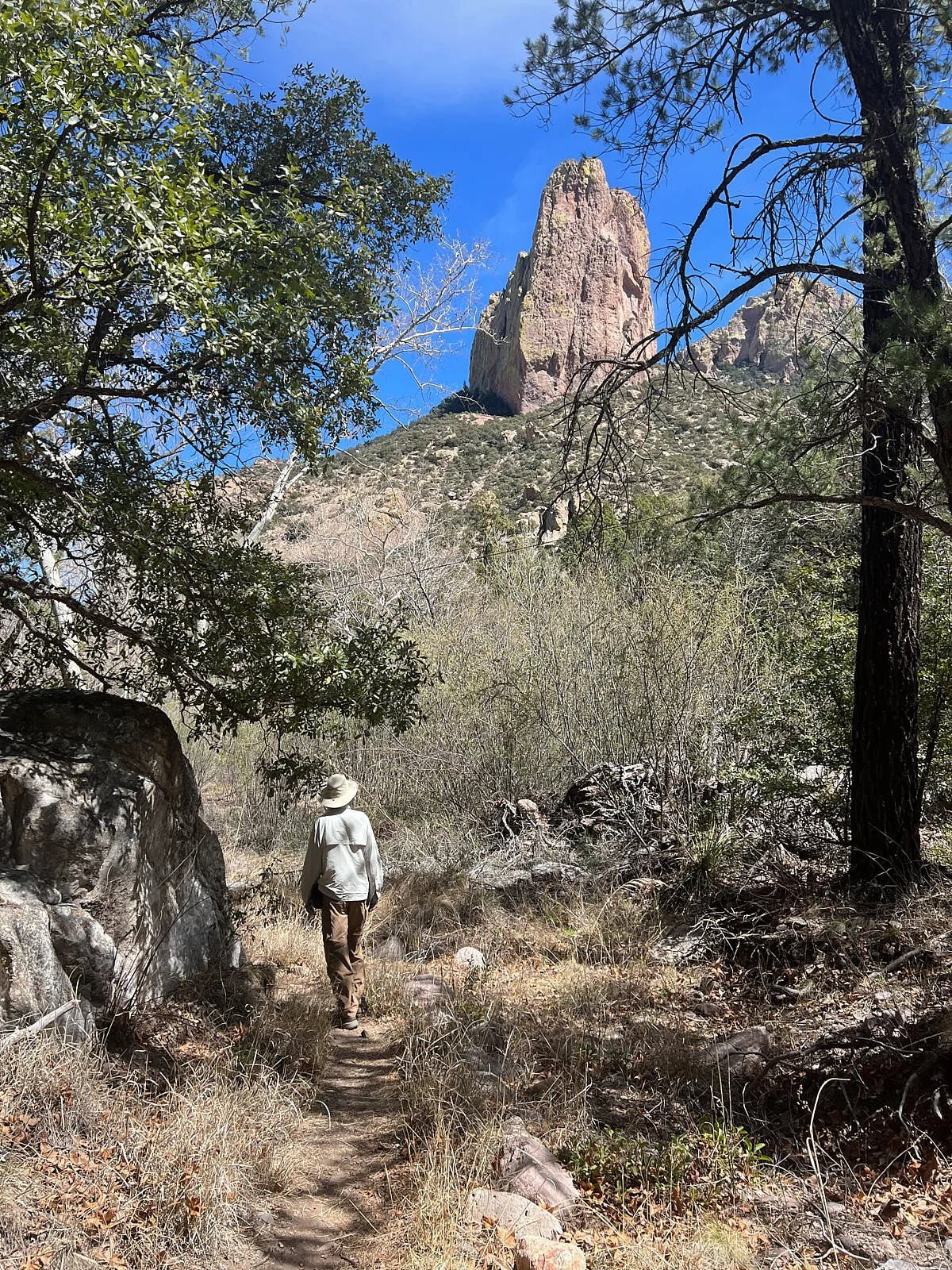 jumbo on trail 8120.jpg