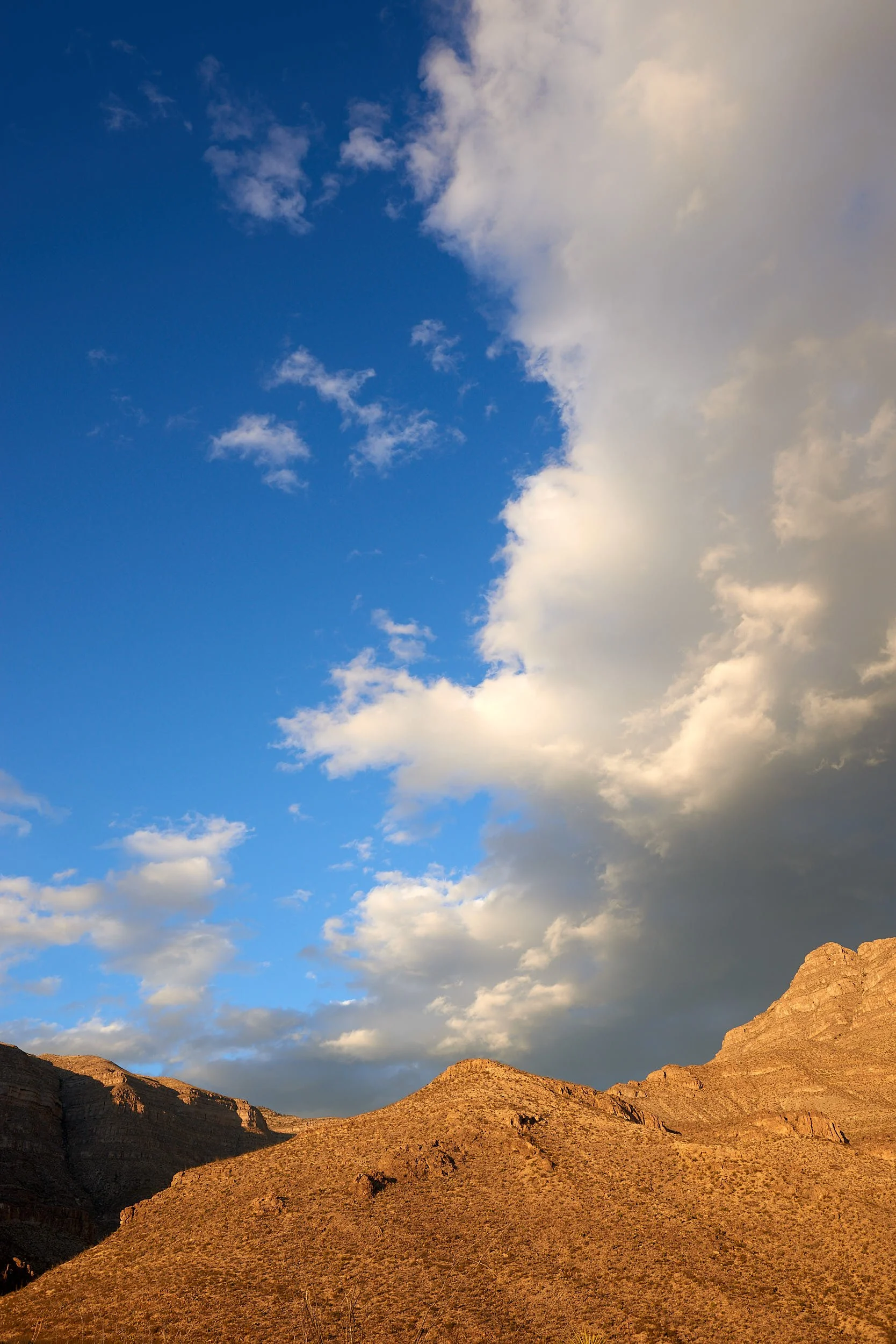 hills 0815V.jpg