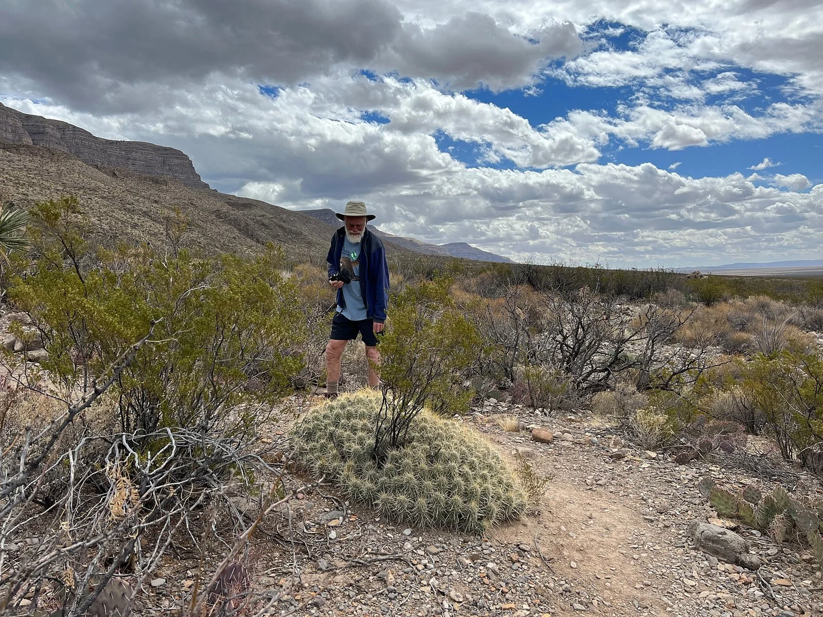 jumbo&cactus 8362.jpg