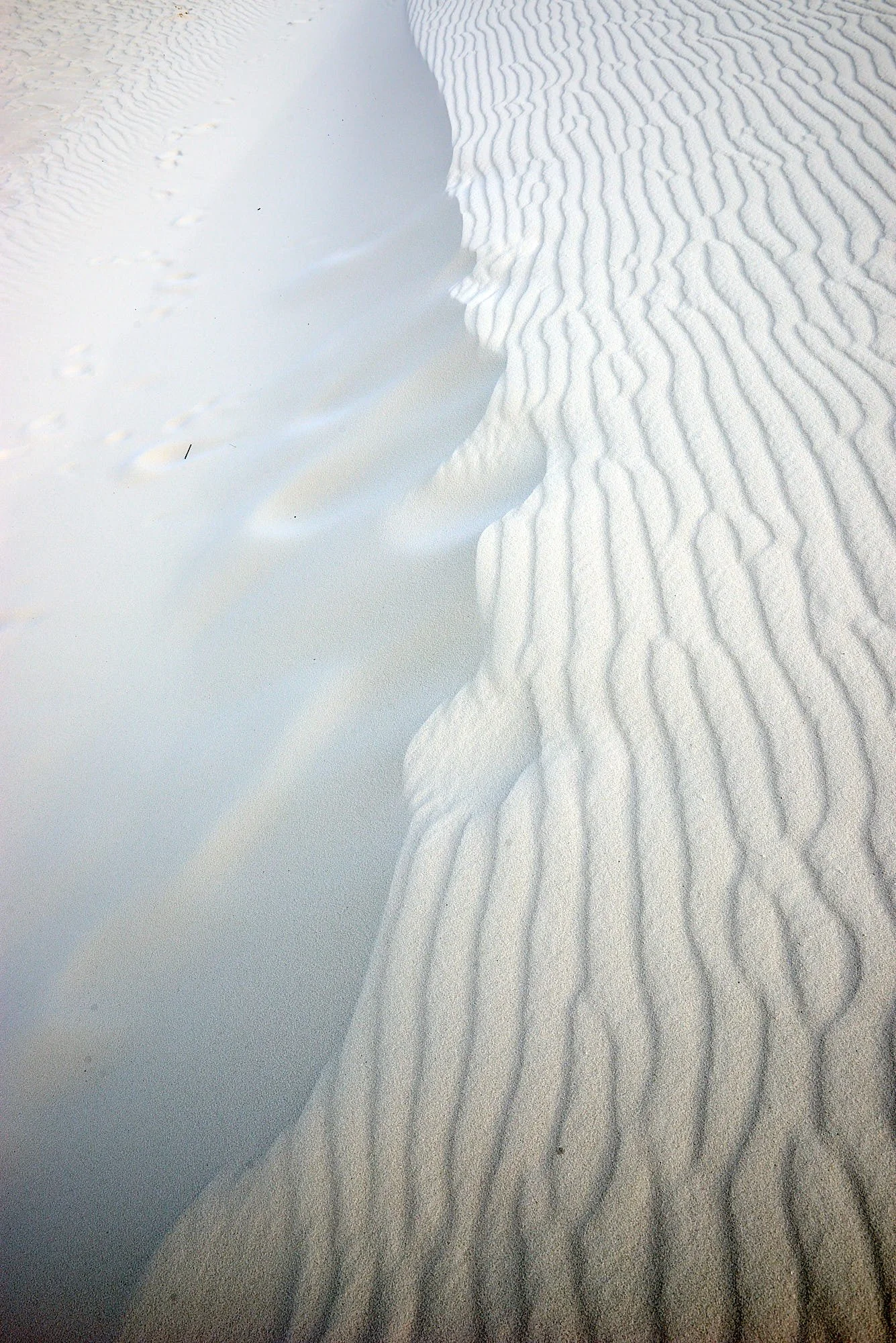 Sands 0919 V.jpg