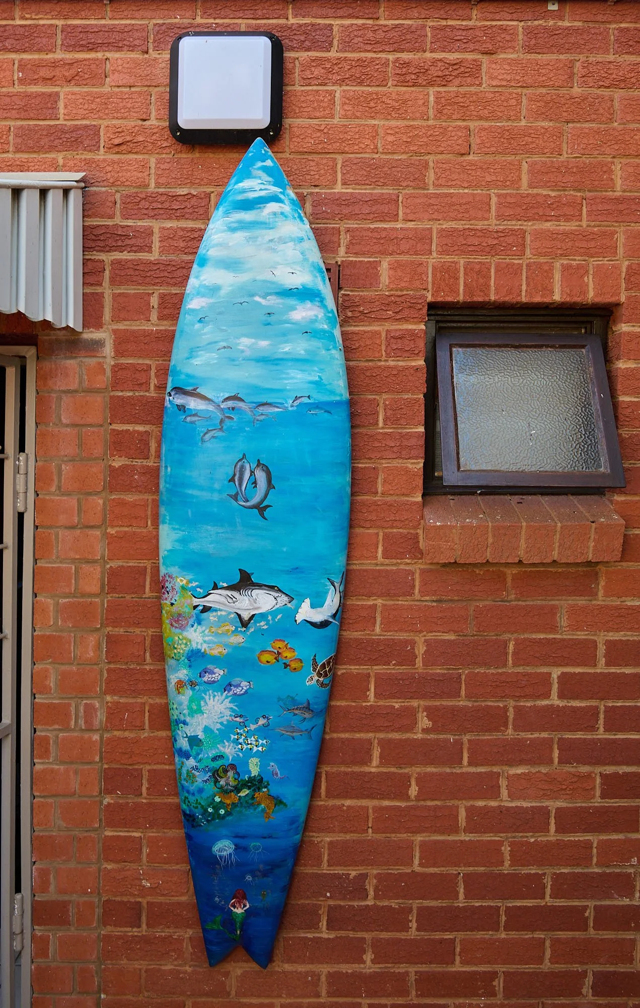 _DSC7835Urban wildlife.jpg