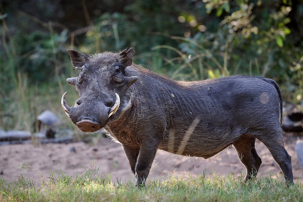 DSC_8049 Reserve.jpg