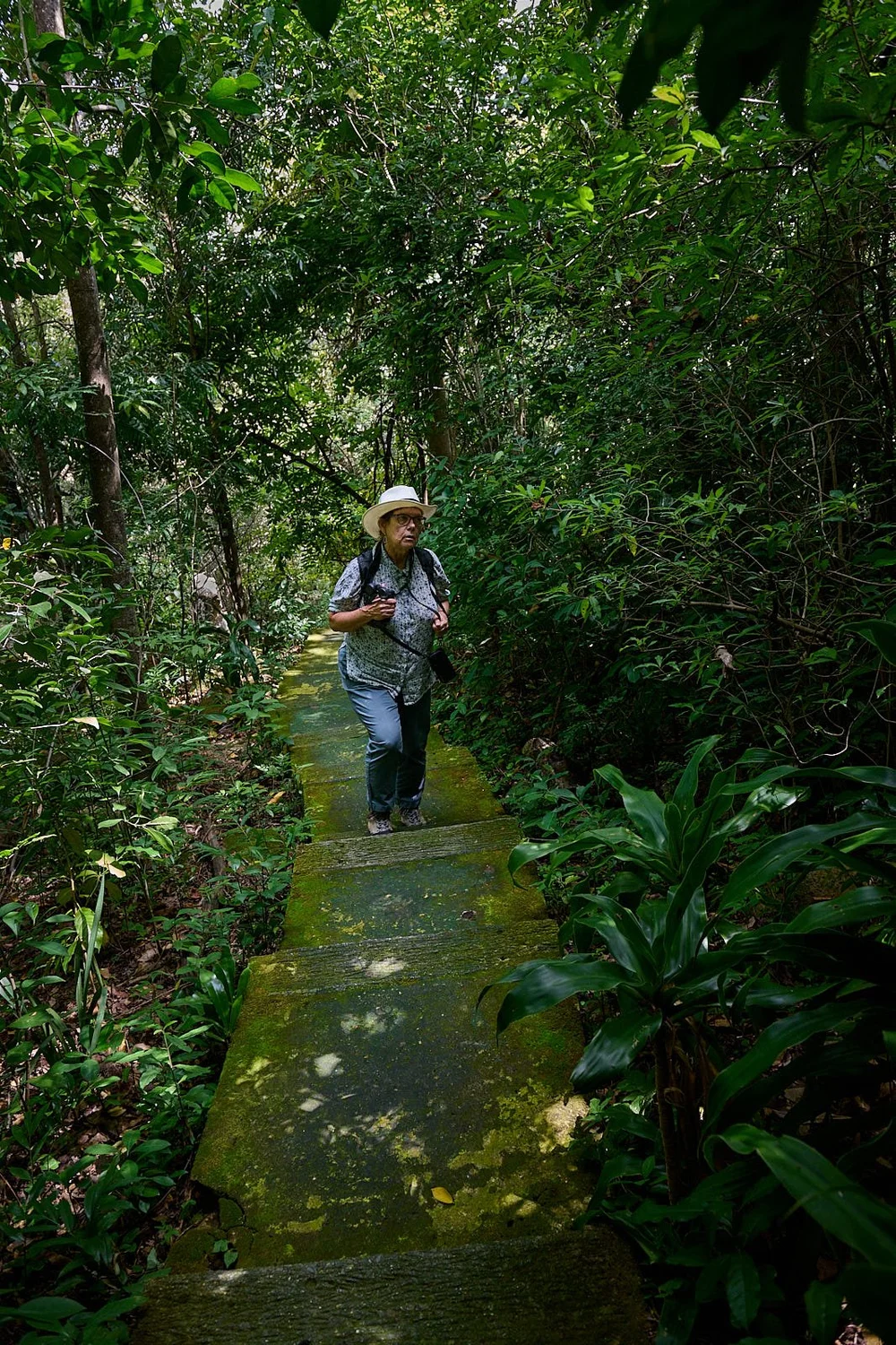 _DSC7993 Kruger 2.jpg