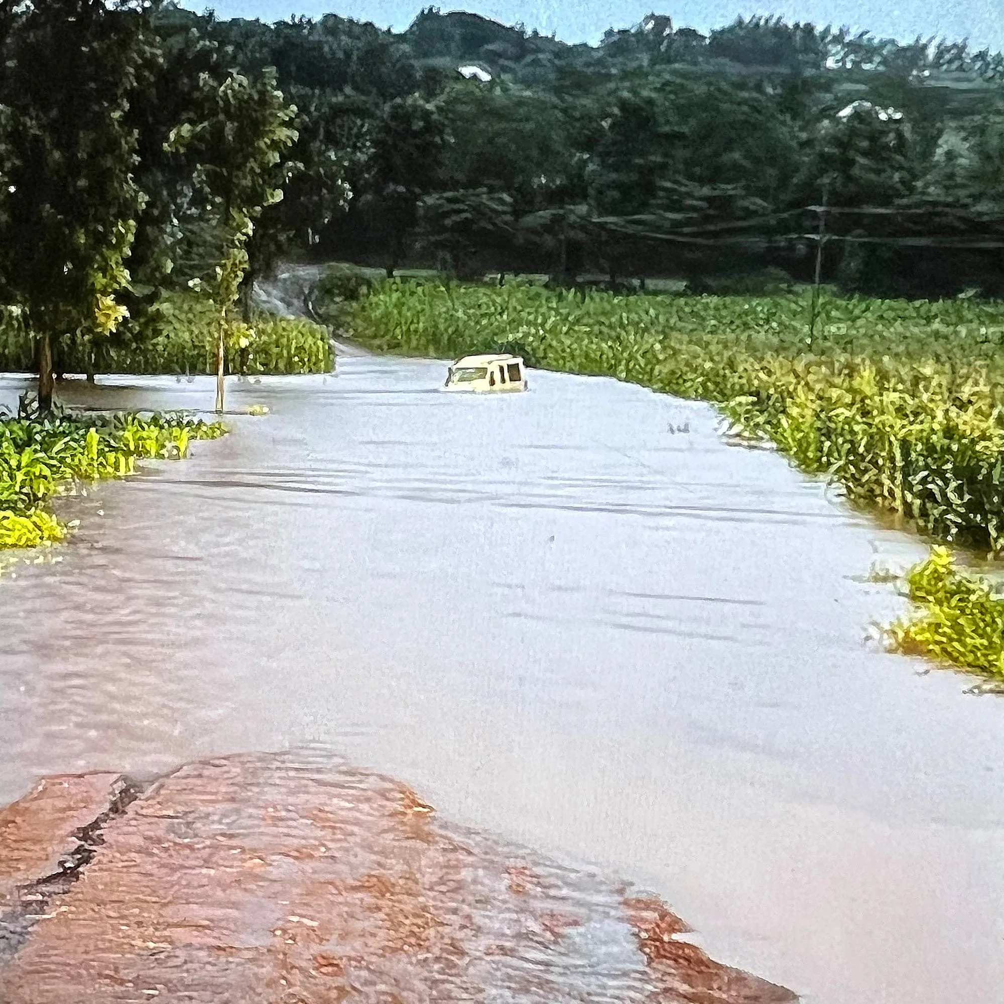 C1 toyota in water full size.jpg
