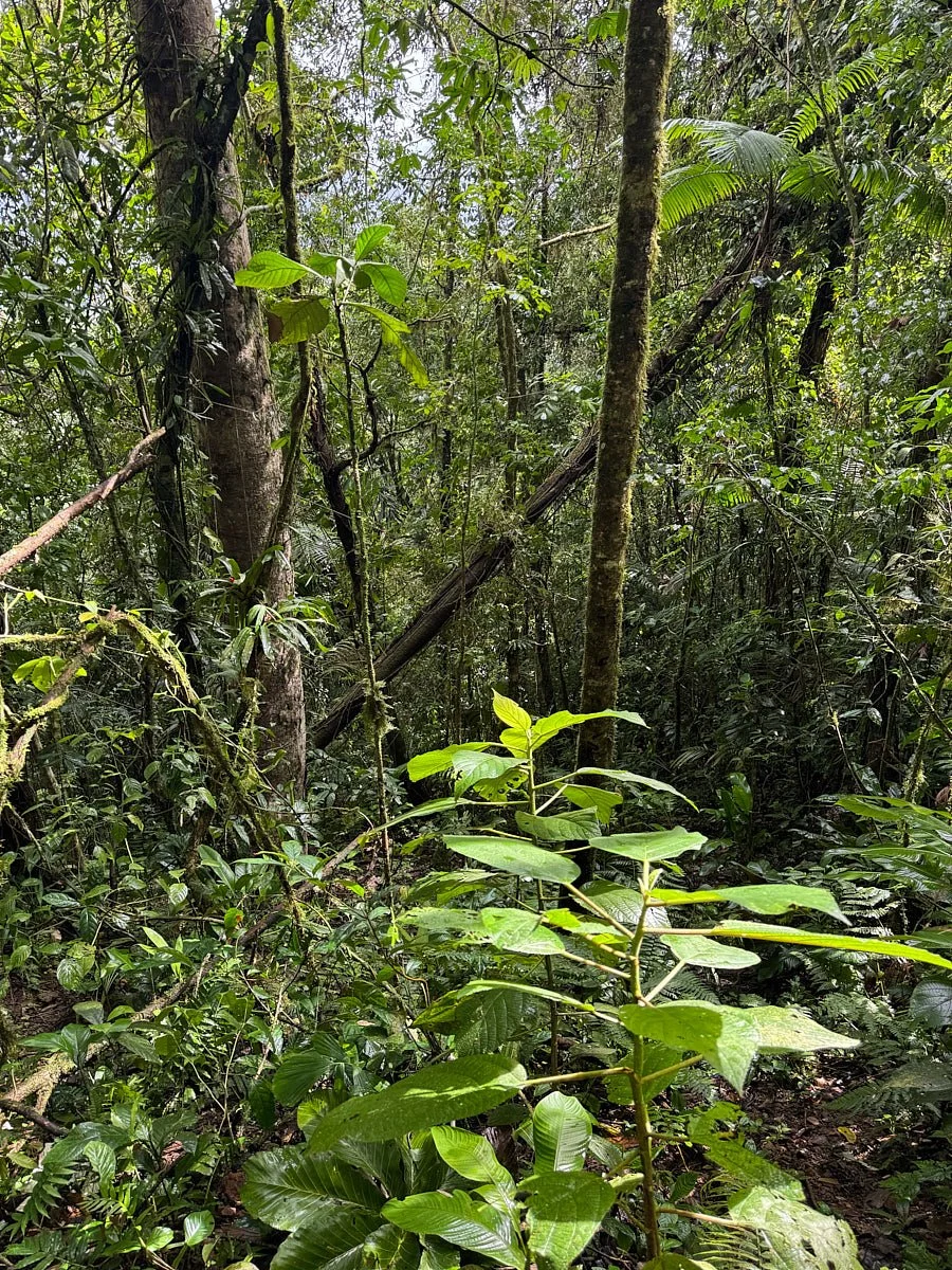 CLOUD-iphone-IMG_2856 1.jpg