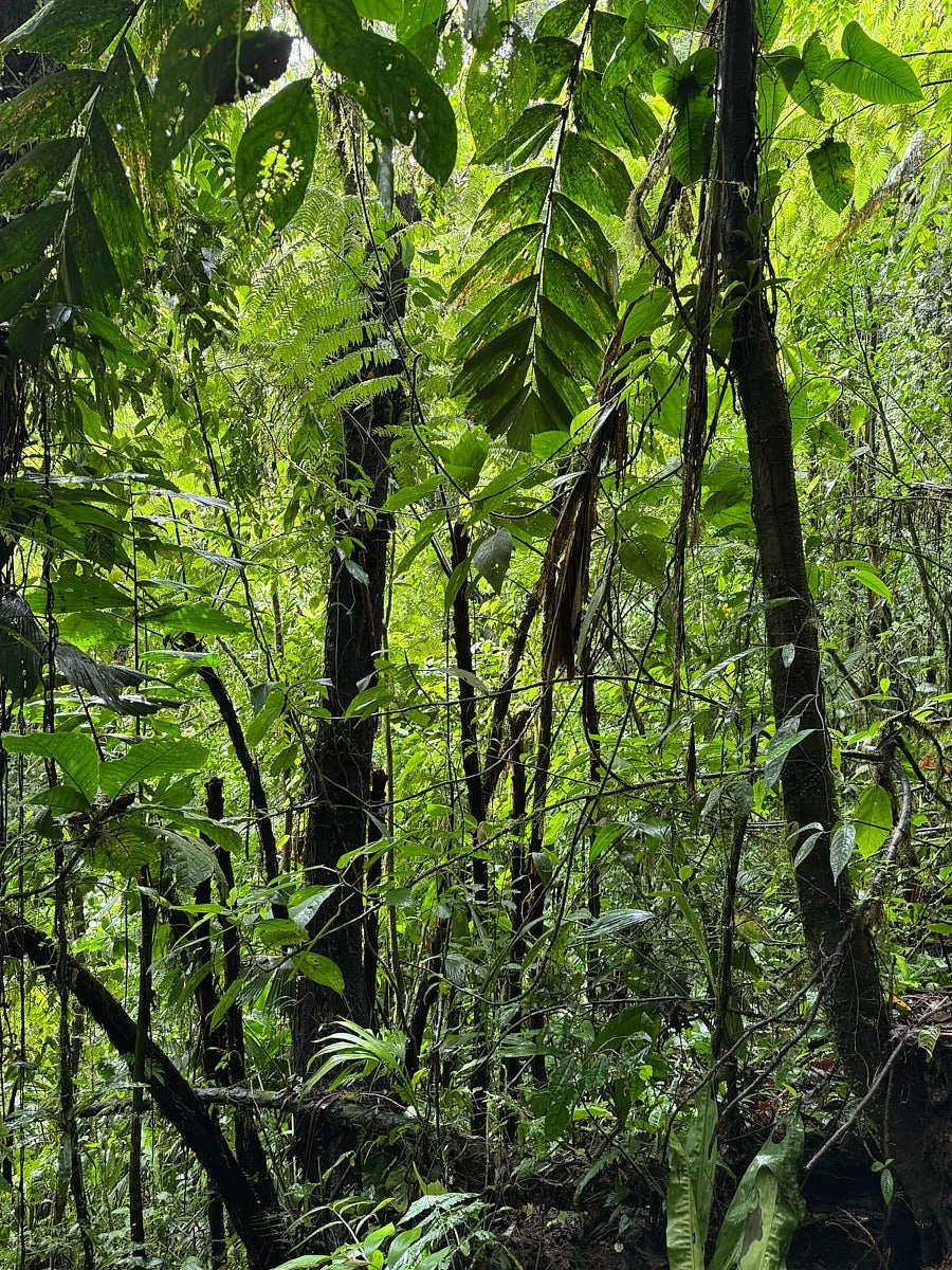 CLOUD-iphone-IMG_2867 1.jpg