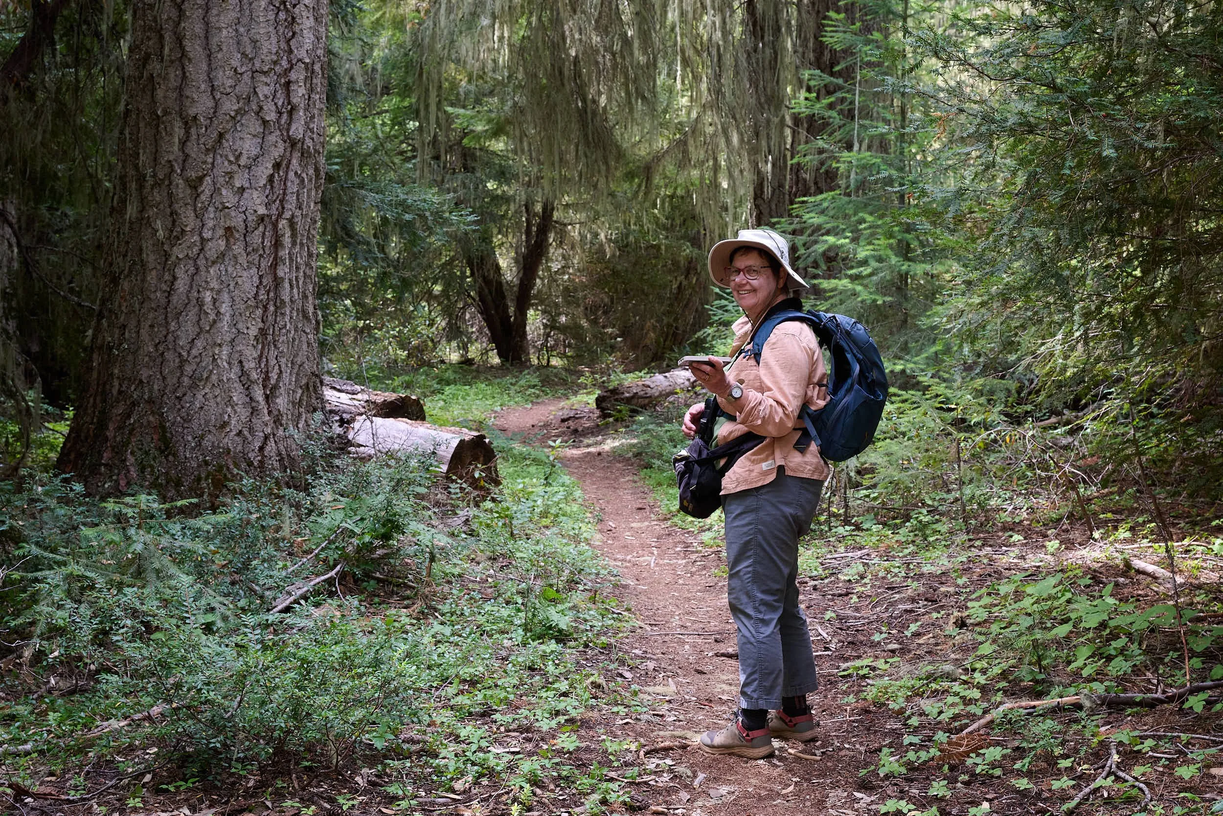 Using Merlin for bird ID