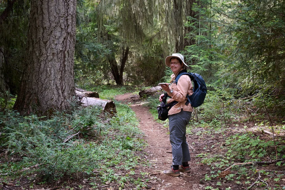 Using Merlin for bird ID