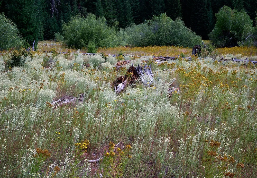 2025-8-fish lake GDW_0022.jpg