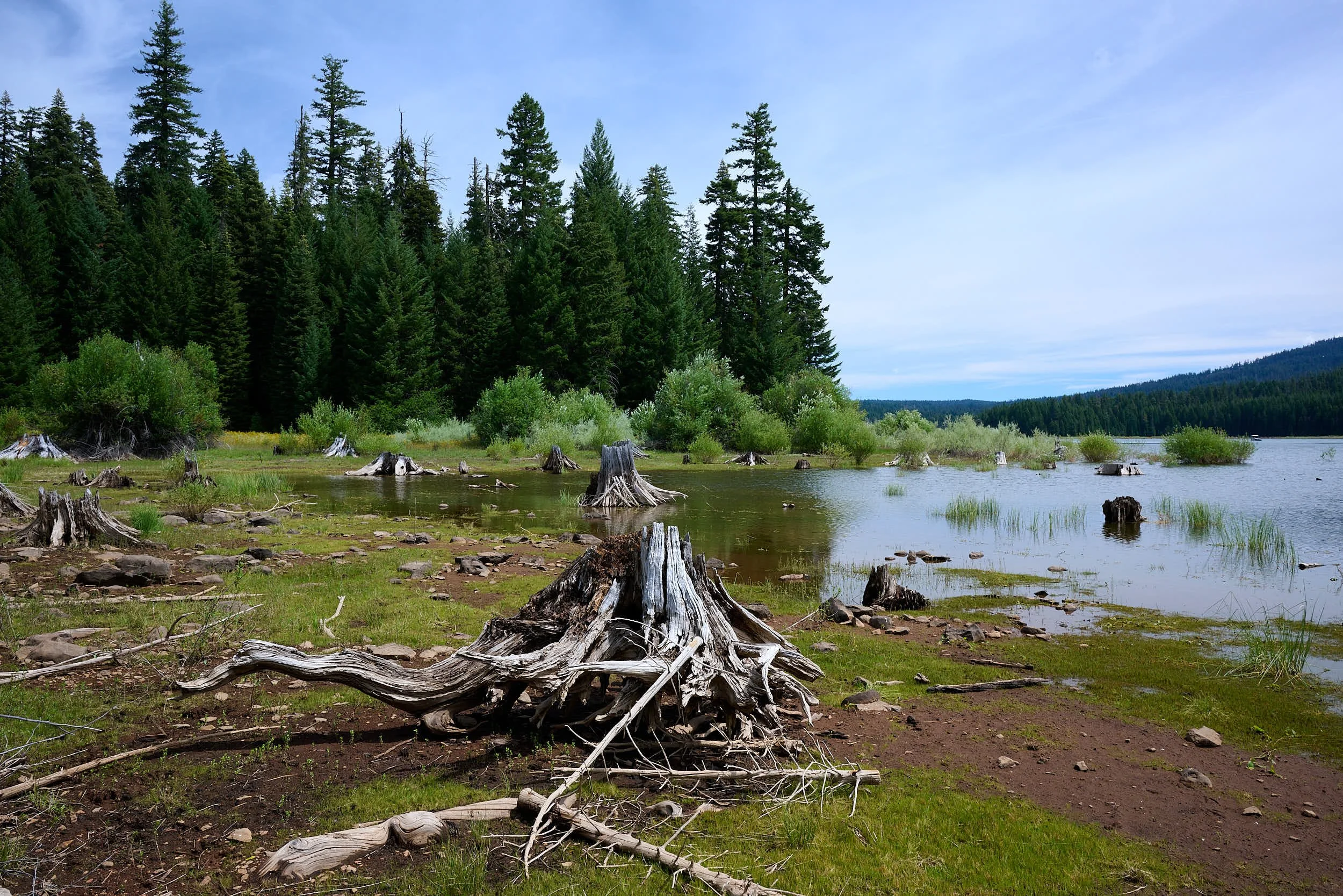 2025-8-fish lake GDW_0050.jpg