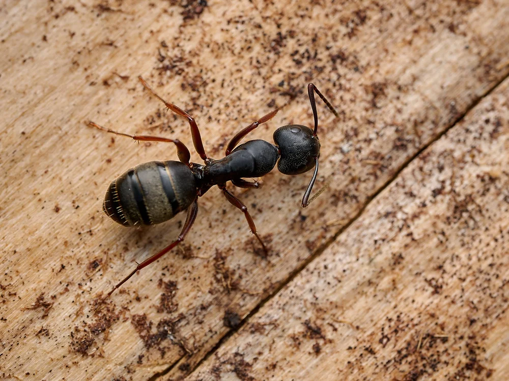 2025-8-fish lake GDW_0169.jpg