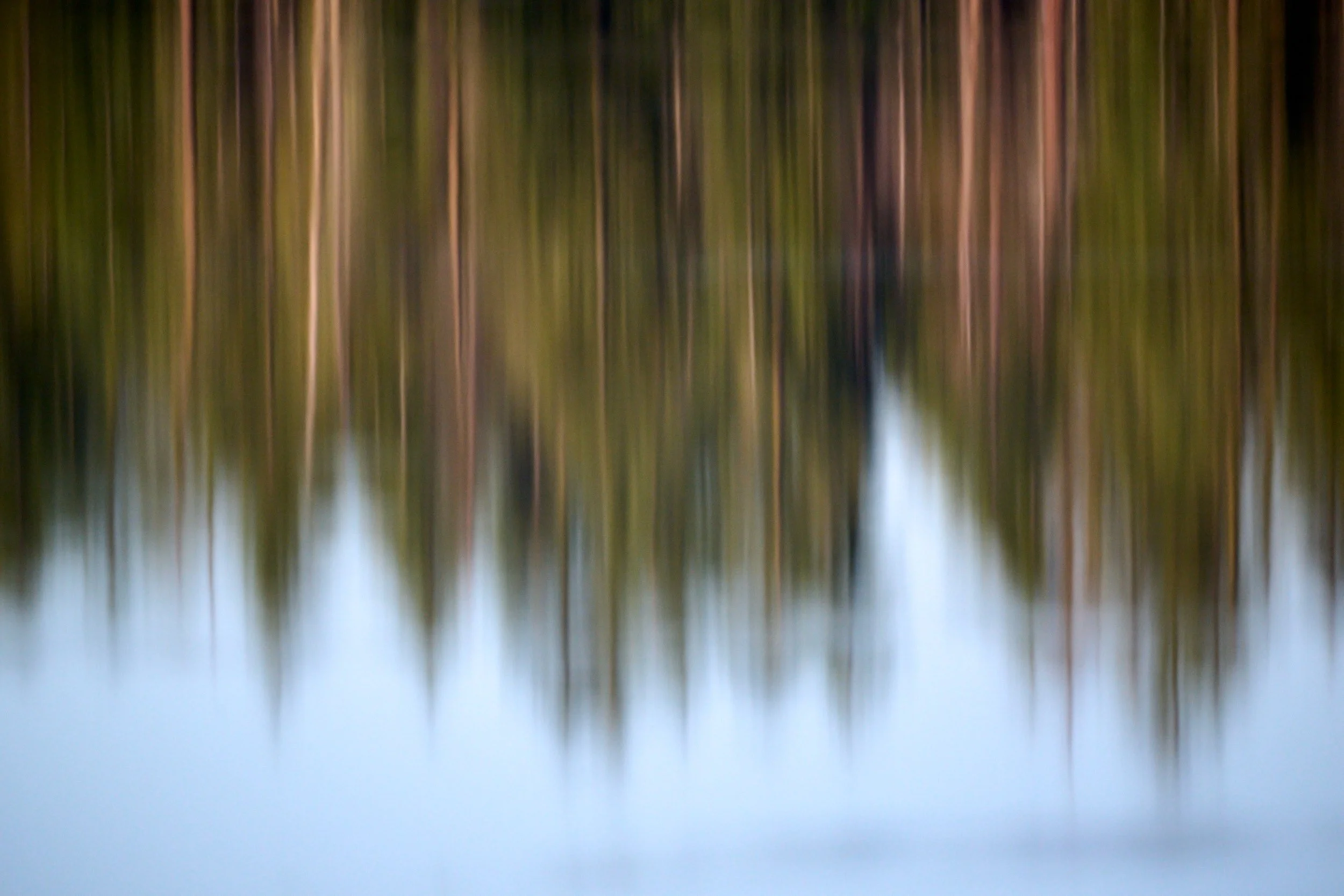 Fish Lake in early morning
