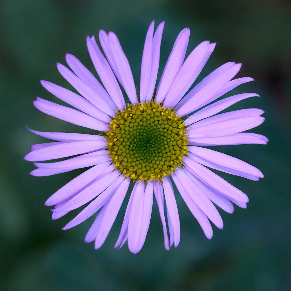 2025-8-ashland GDW_0214.jpg