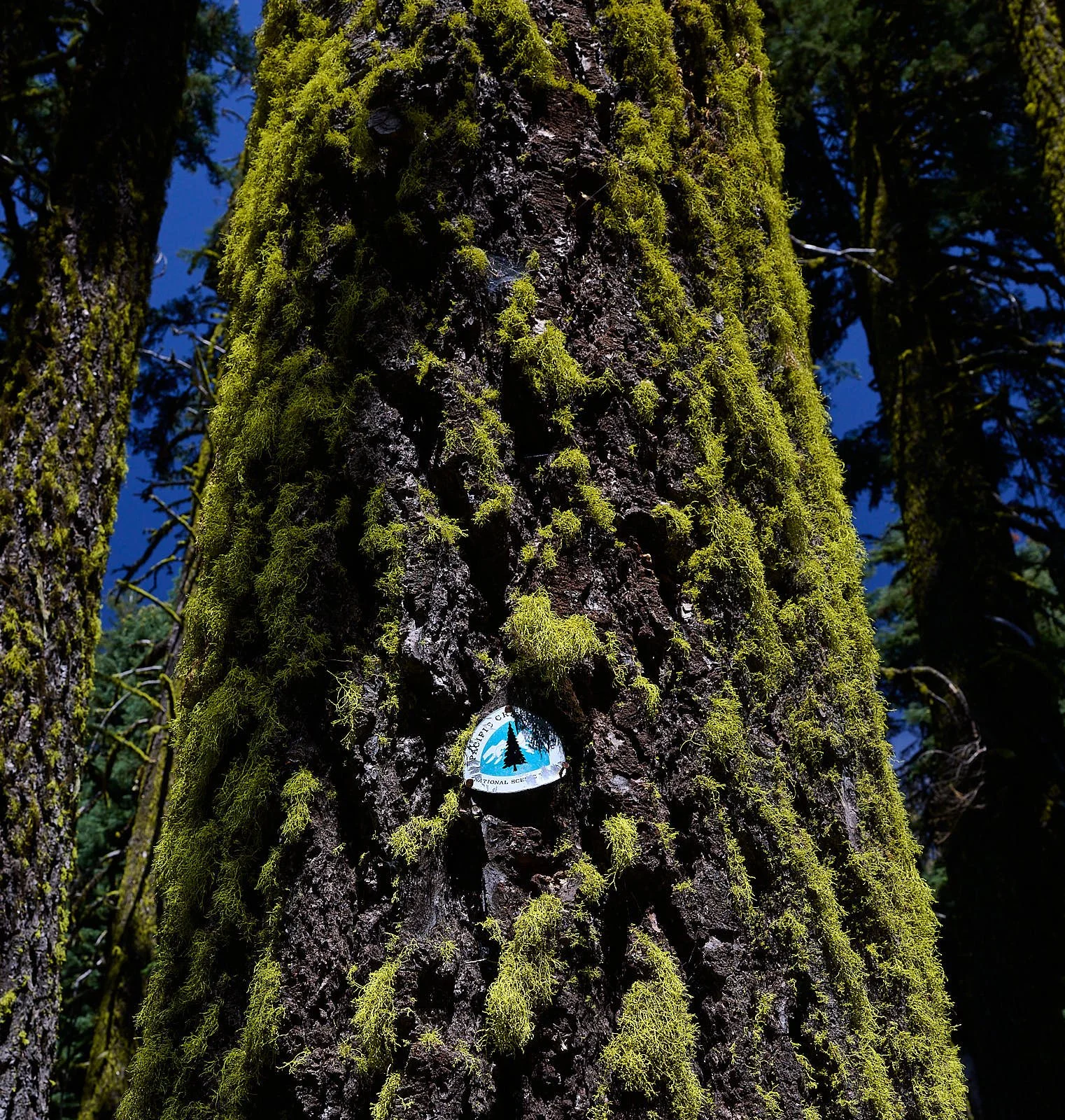 PCT sign