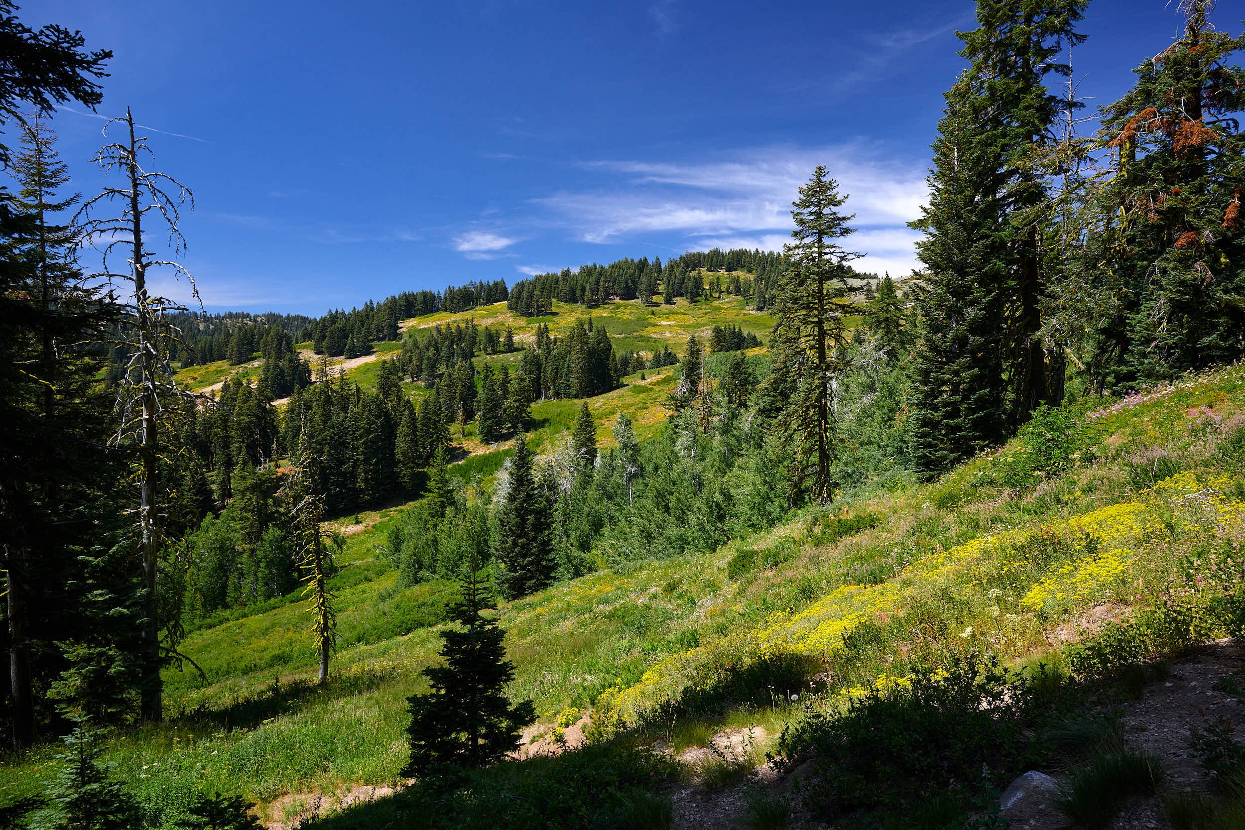 2025-8-ashland GDW_0257.jpg