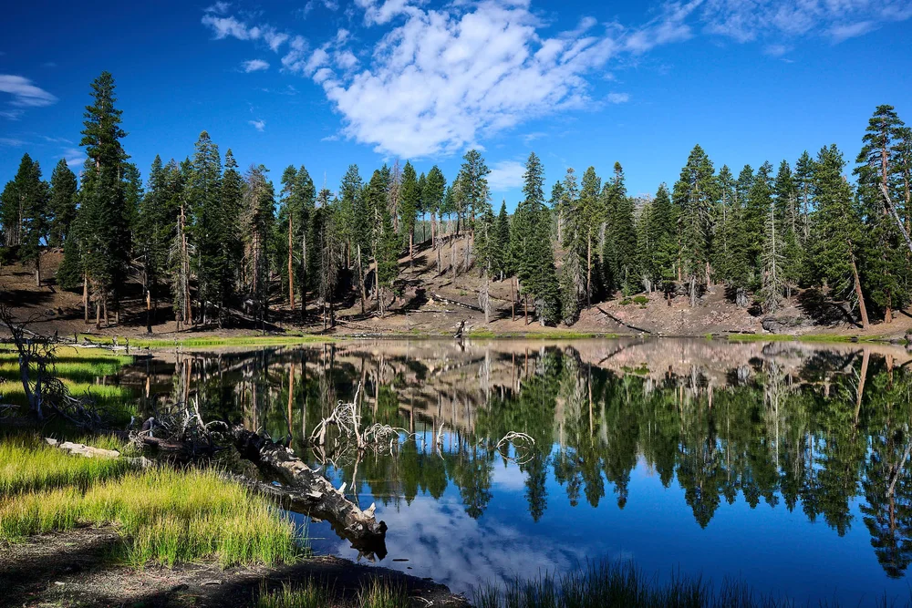 2025-8-lassen GDW_0180.jpg