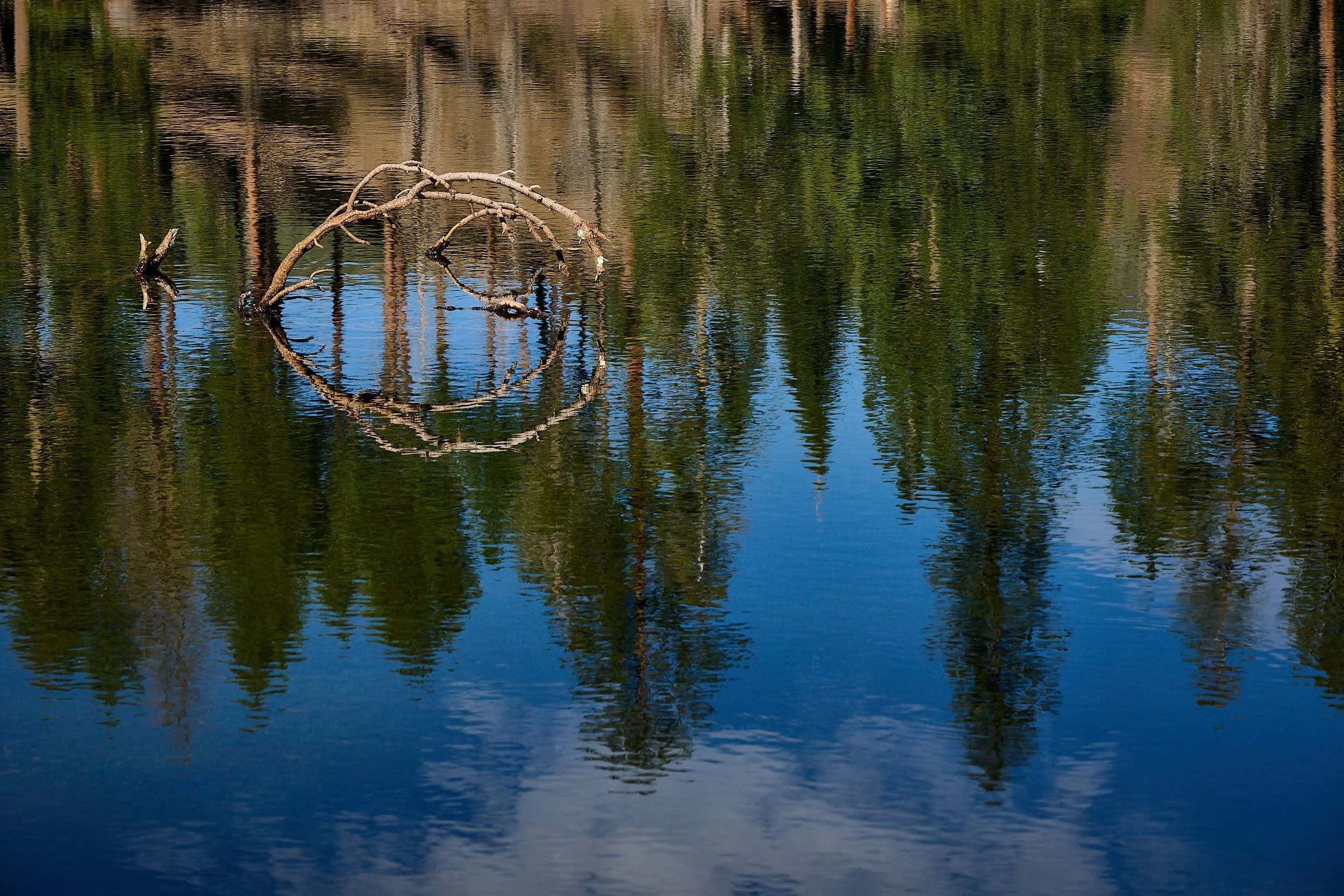 2025-8-lassen GDW_0187.jpg