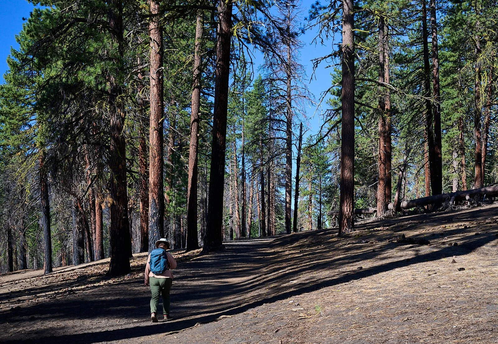 Trail to Cinder Cone
