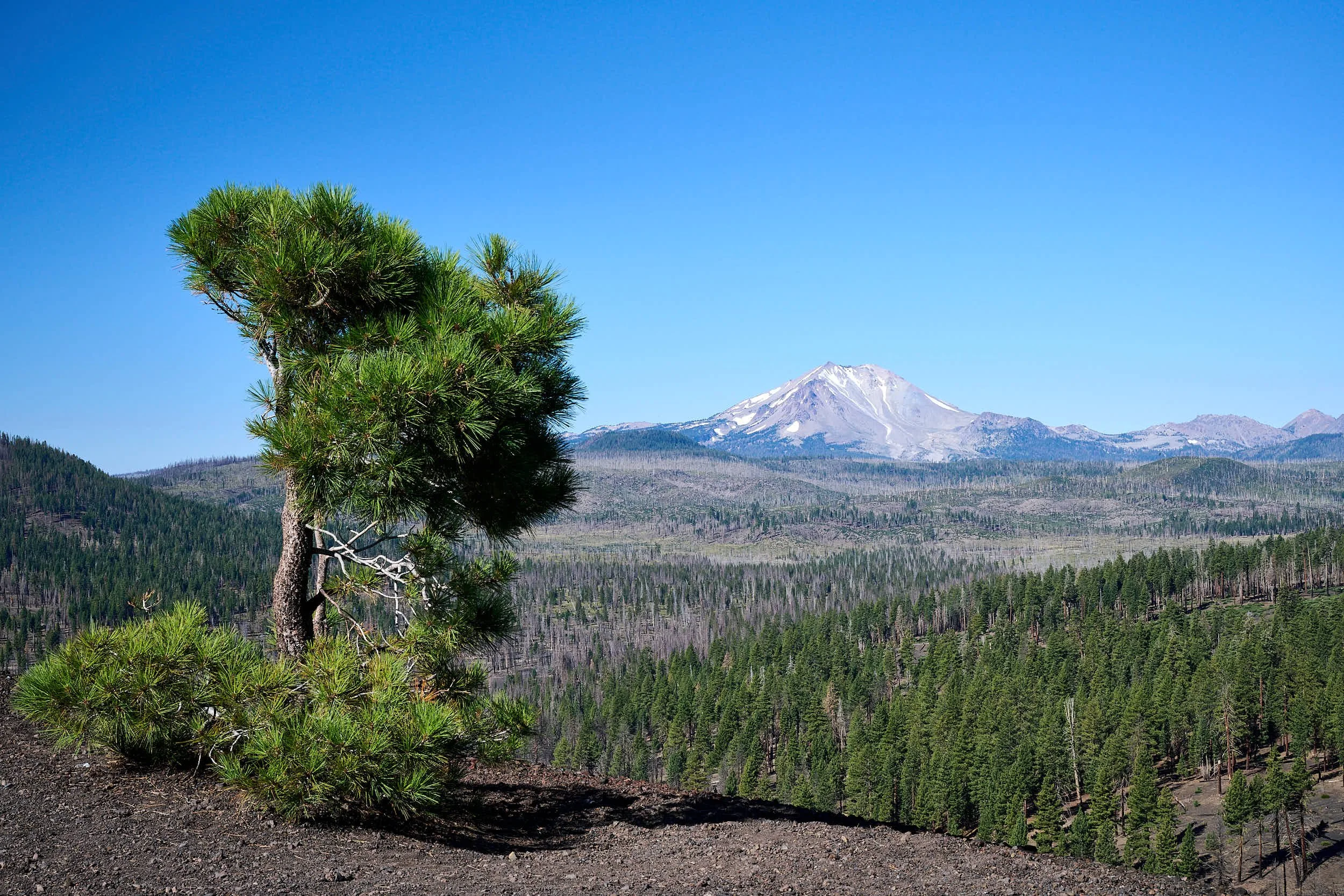On the rim, looking at Lassen Peak