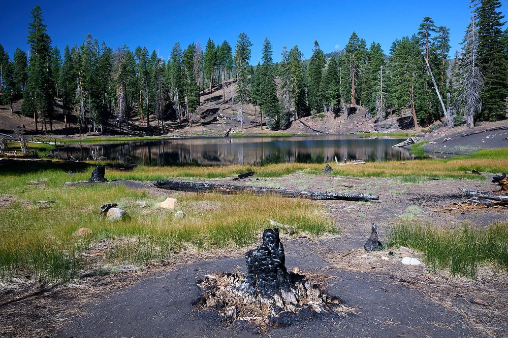 Aftermath of the Dixie fire