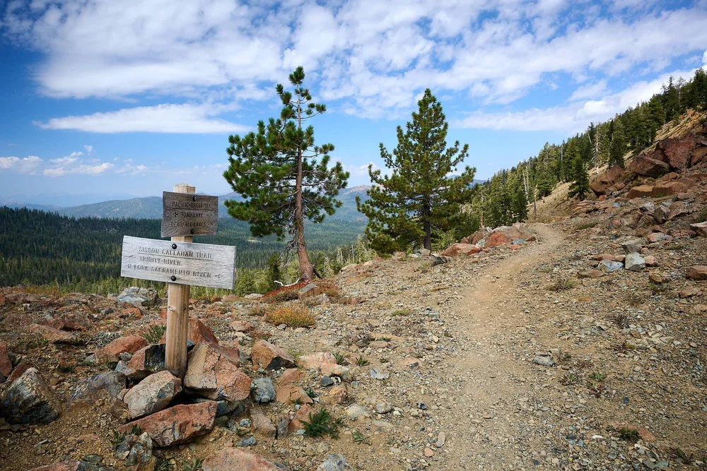 PCT, going south from Mt. Eddy