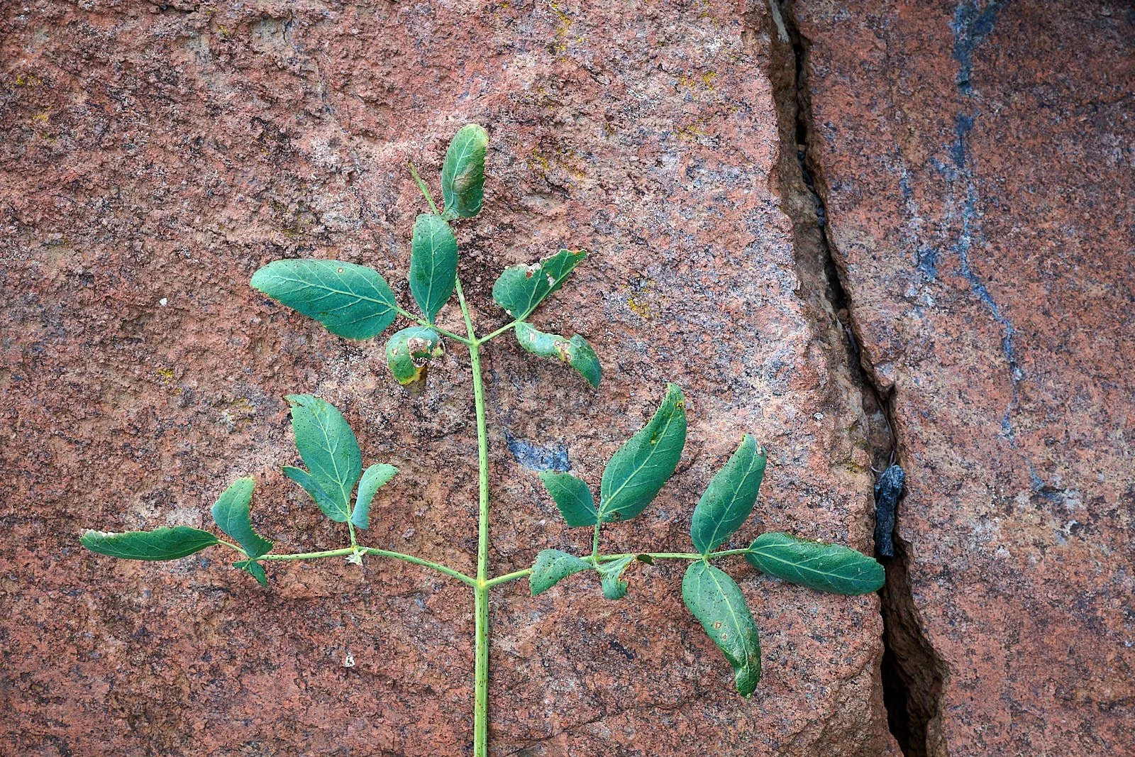 2025-8-eddy GDW_0540 2.jpg