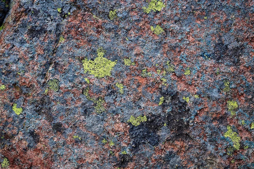 2025-8-eddy GDW_0541 2.jpg