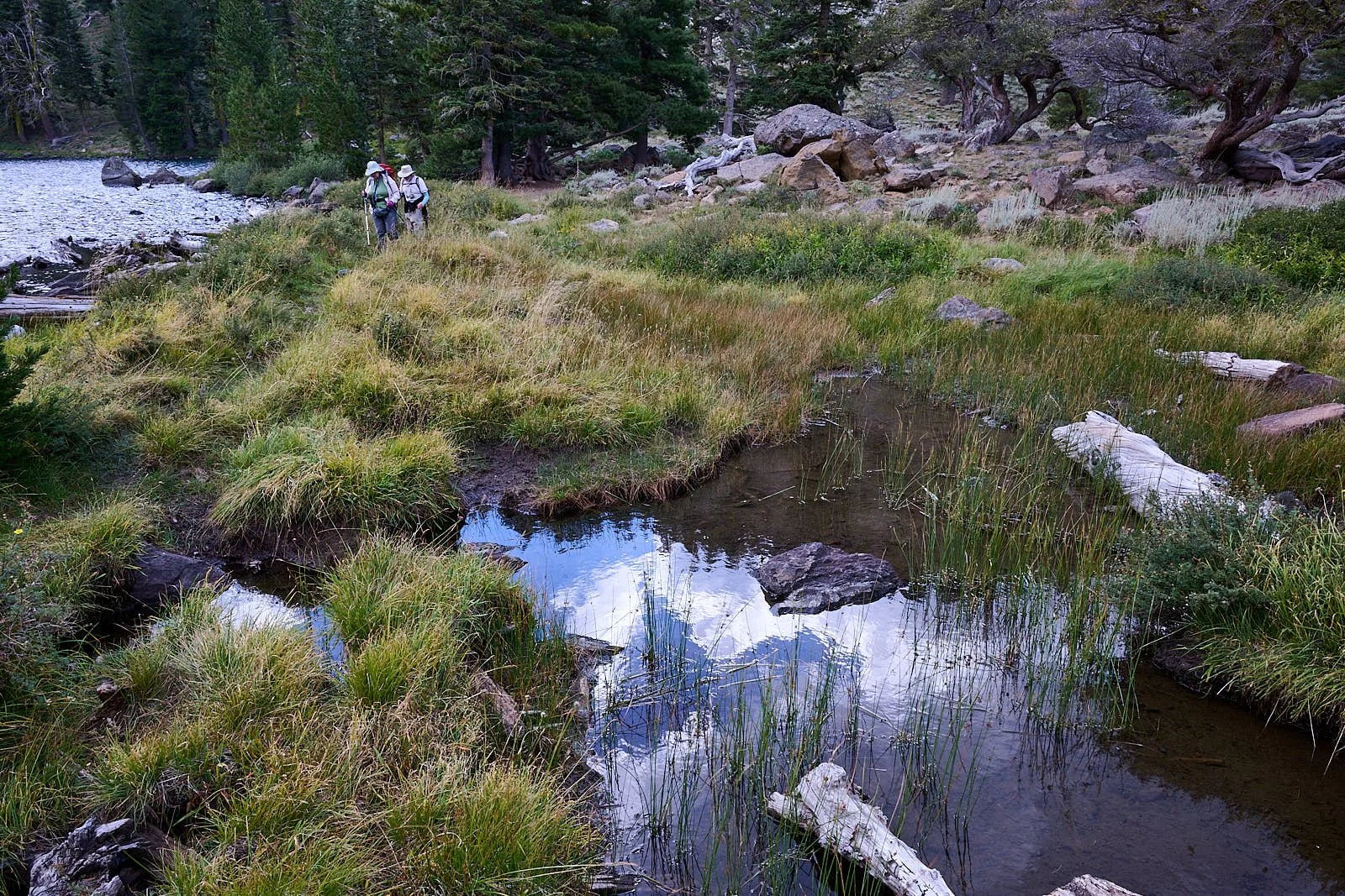 Outlet at Deadfall Lake