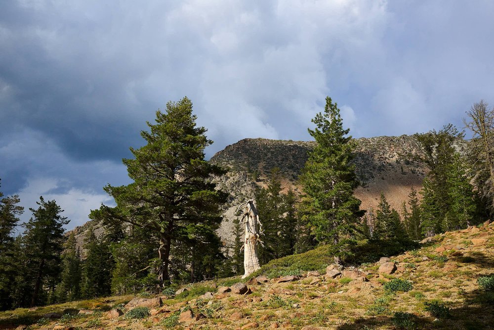 Afternoon thunderstorm