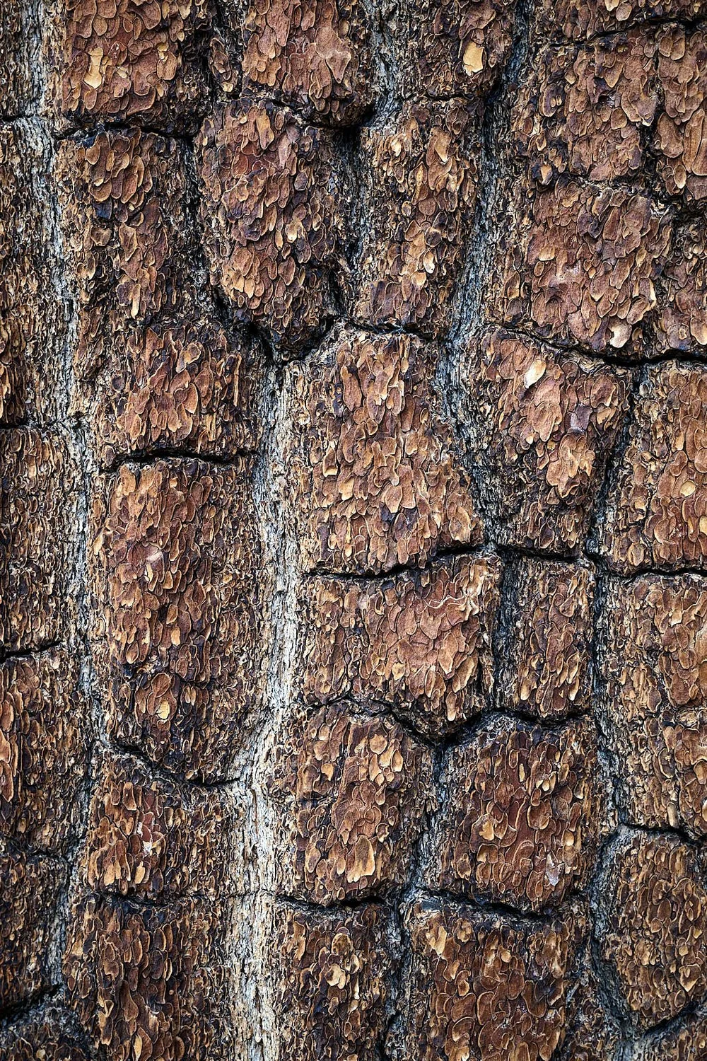 2025-8-eddy GDW_0586 1.jpg