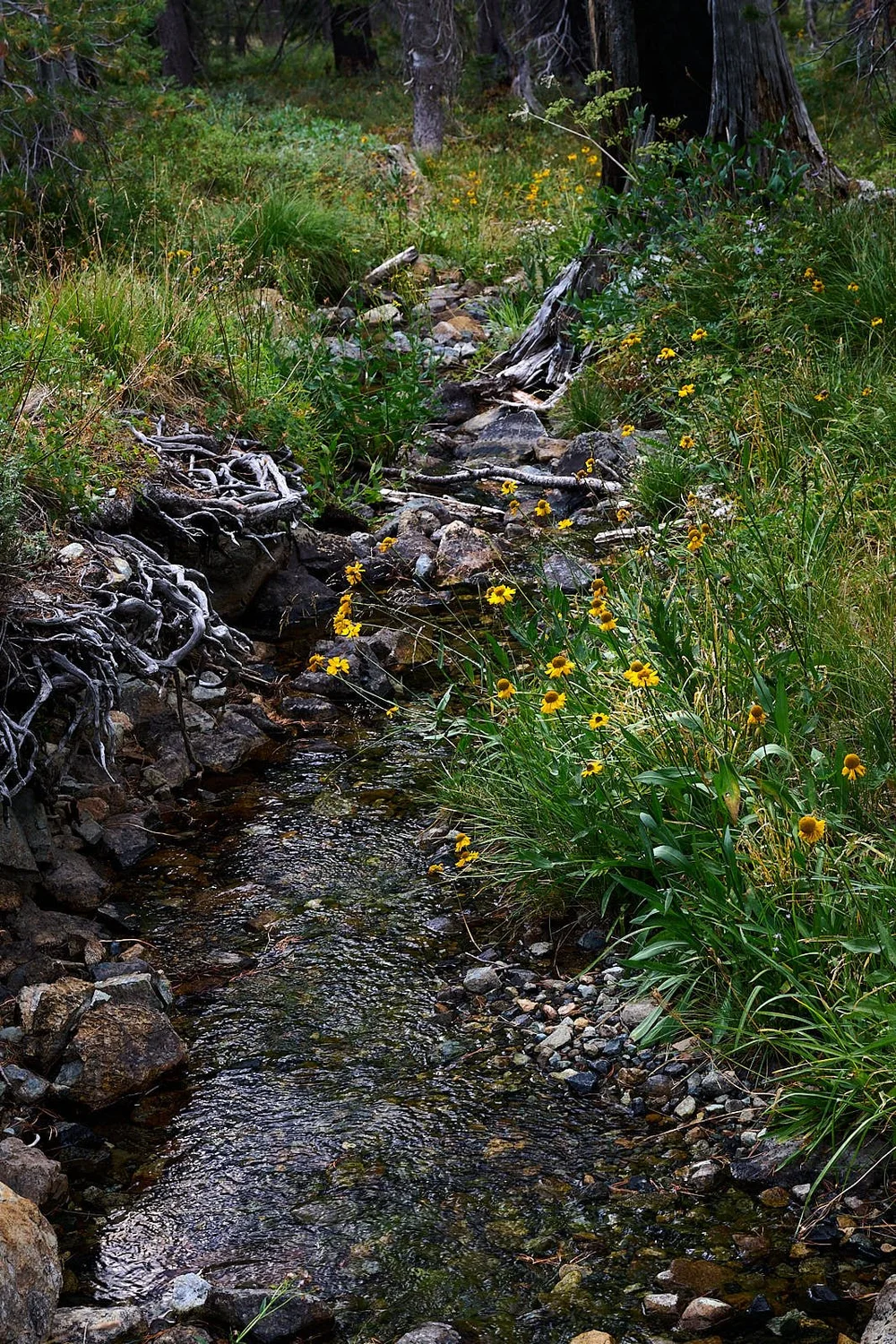 2025-8-eddy GDW_0652 1.jpg