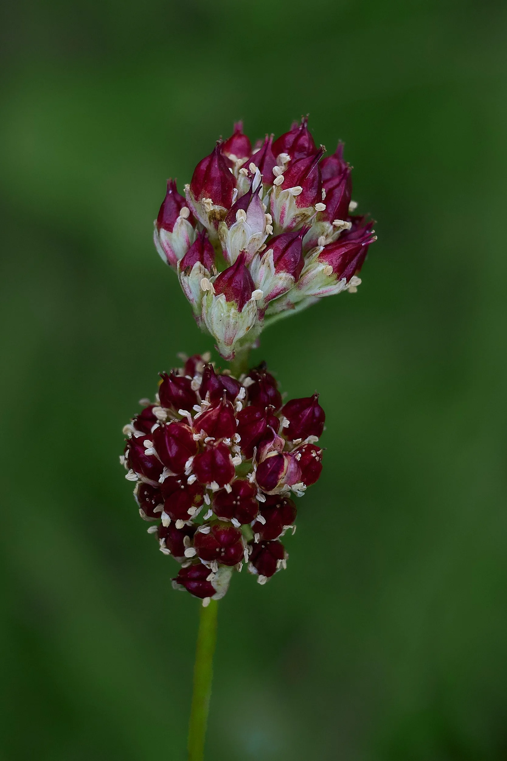 2025-8-eddy GDW_0693.jpg