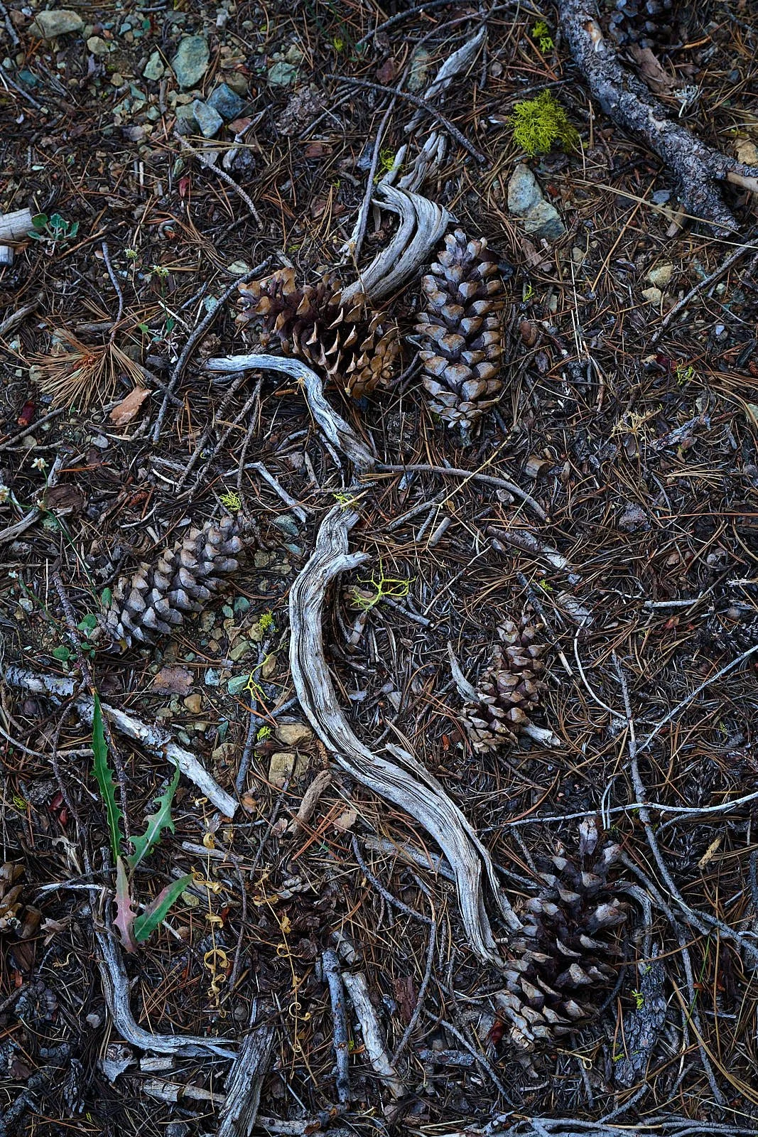 2025-8-eddy GDW_0715 1.jpg