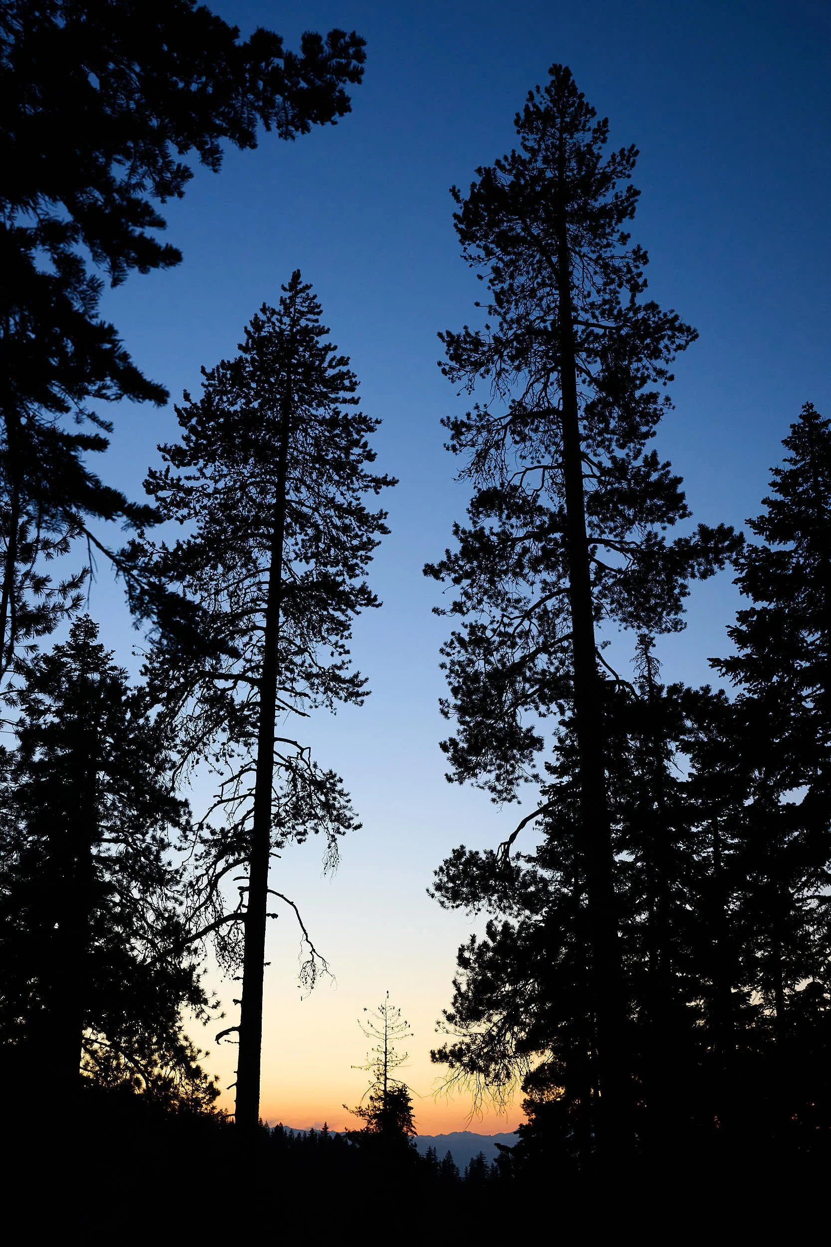 Sunset at camp
