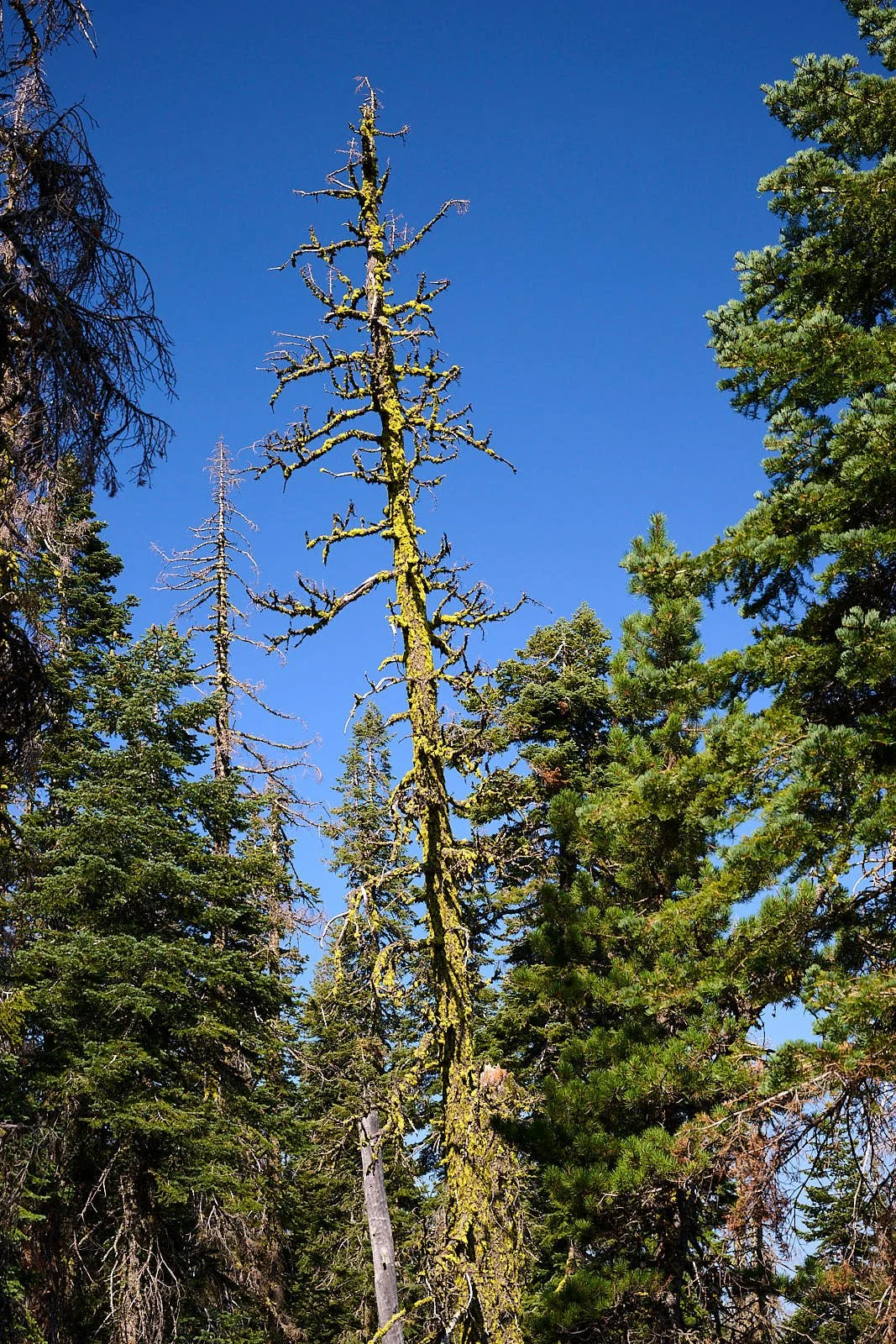 2025-8-eddy GDW_0730 1.jpg